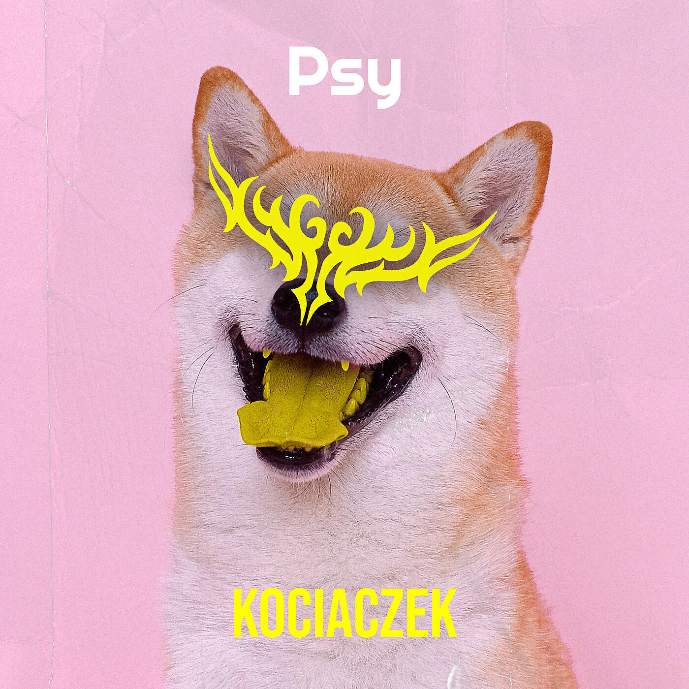 Релиз Psy