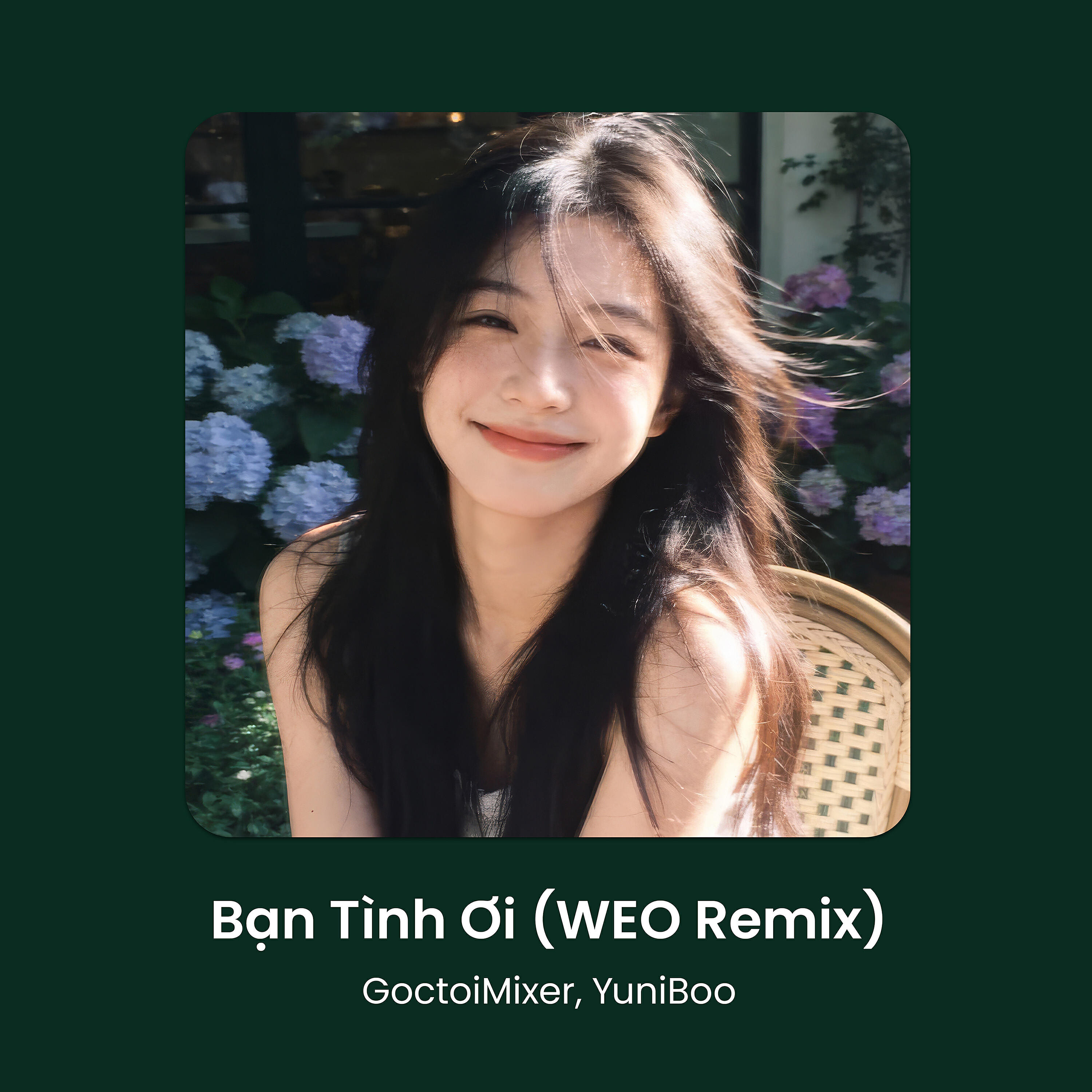 Релиз Bạn Tình Ơi (Haiyang x HyyLee Remix)