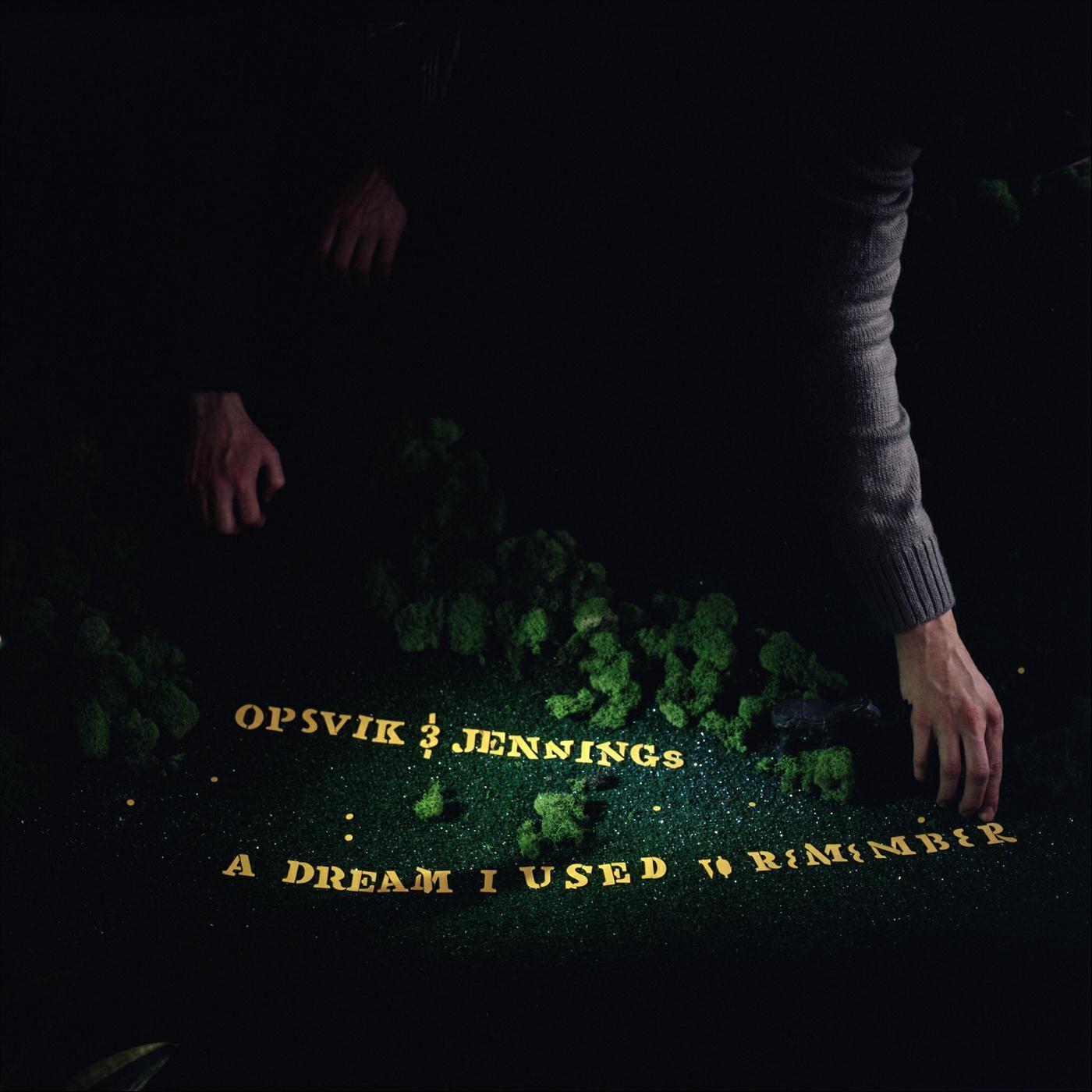 Релиз A Dream I Used to Remember