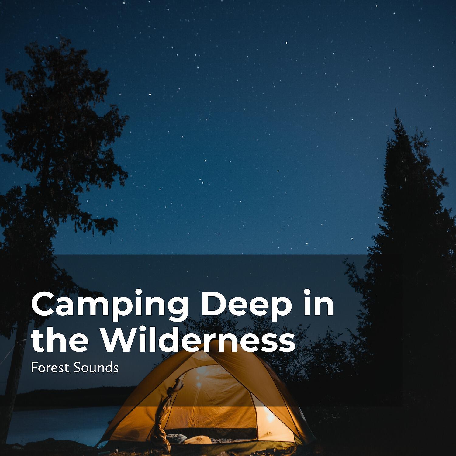 Релиз Camping Deep in the Wilderness