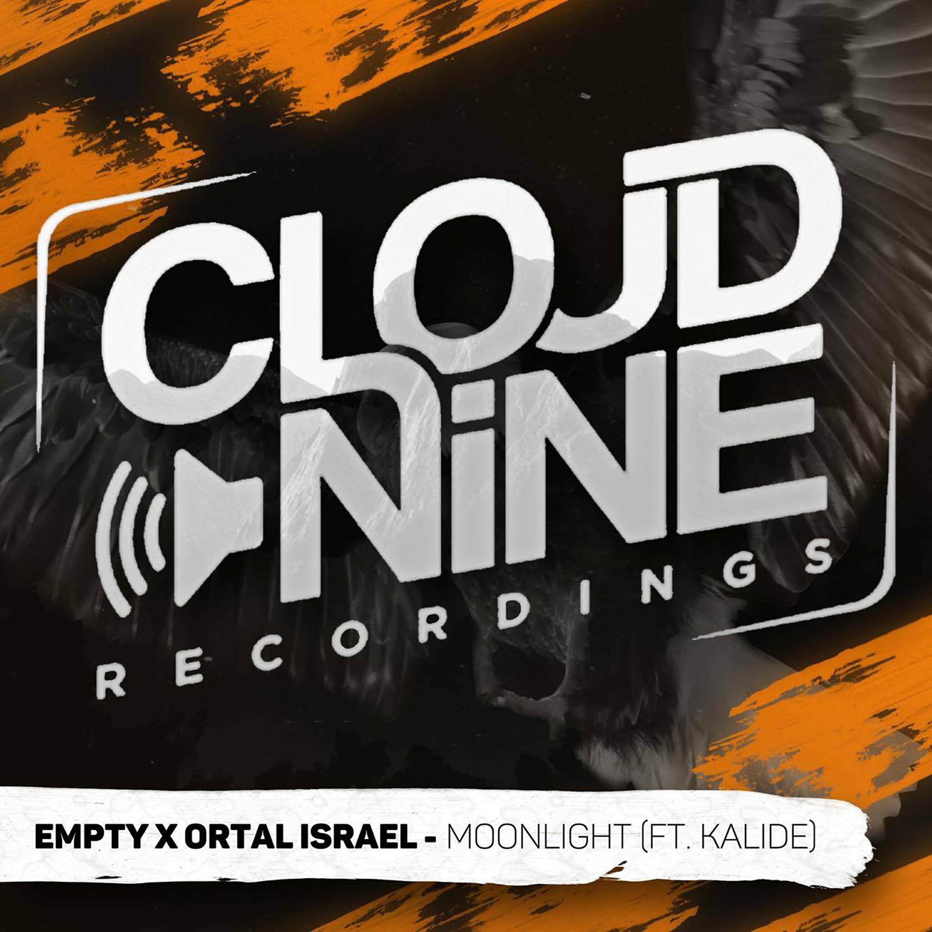 Релиз Moonlight (feat. Kalide)