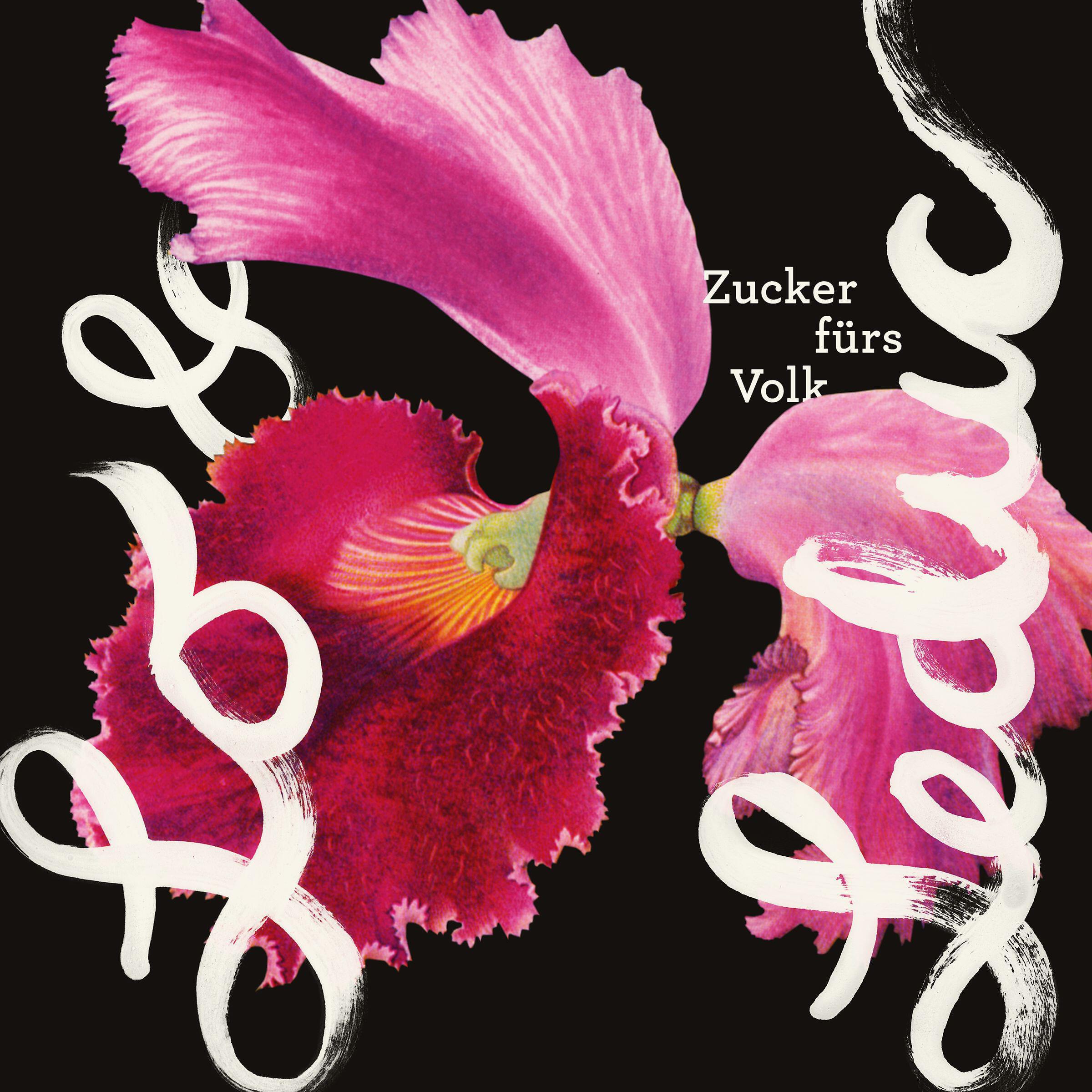 Релиз Zucker fürs Volk