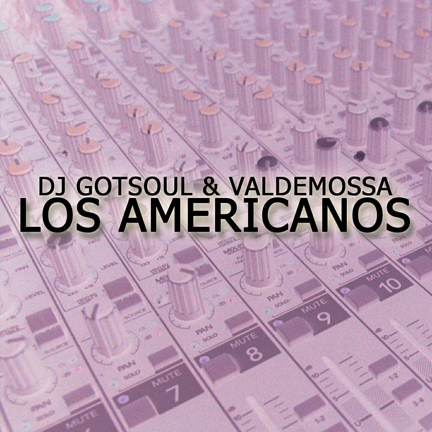 DJ Gotsoul