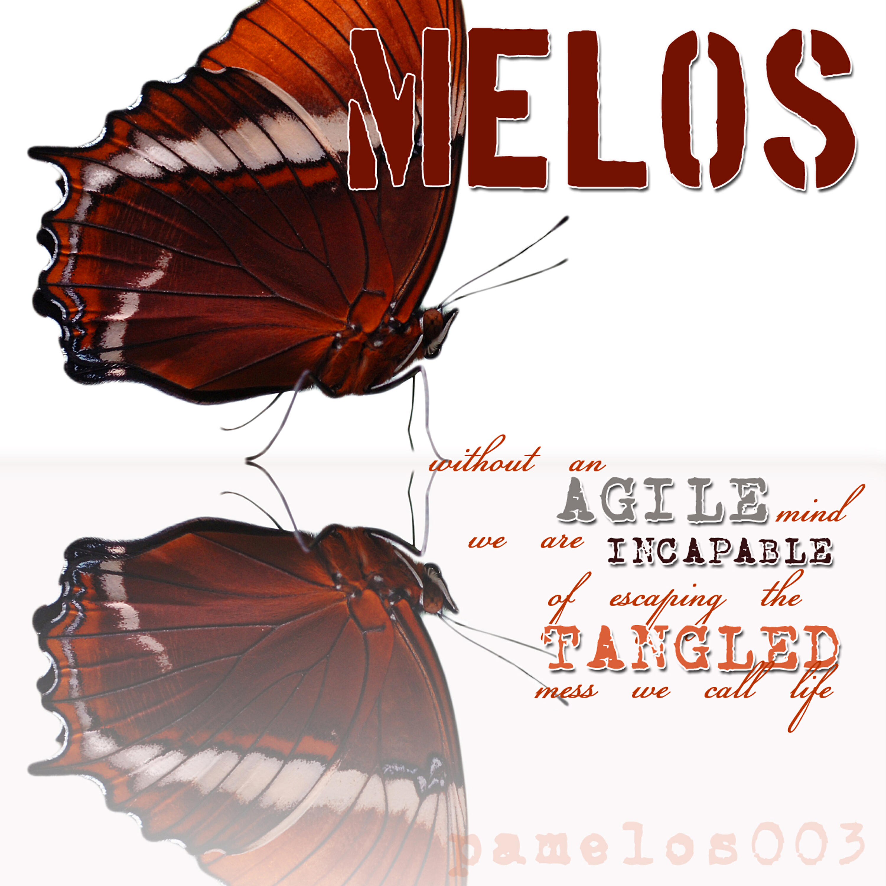 Релиз Without an agile mind we are incapable of escaping the tangled mess we call life