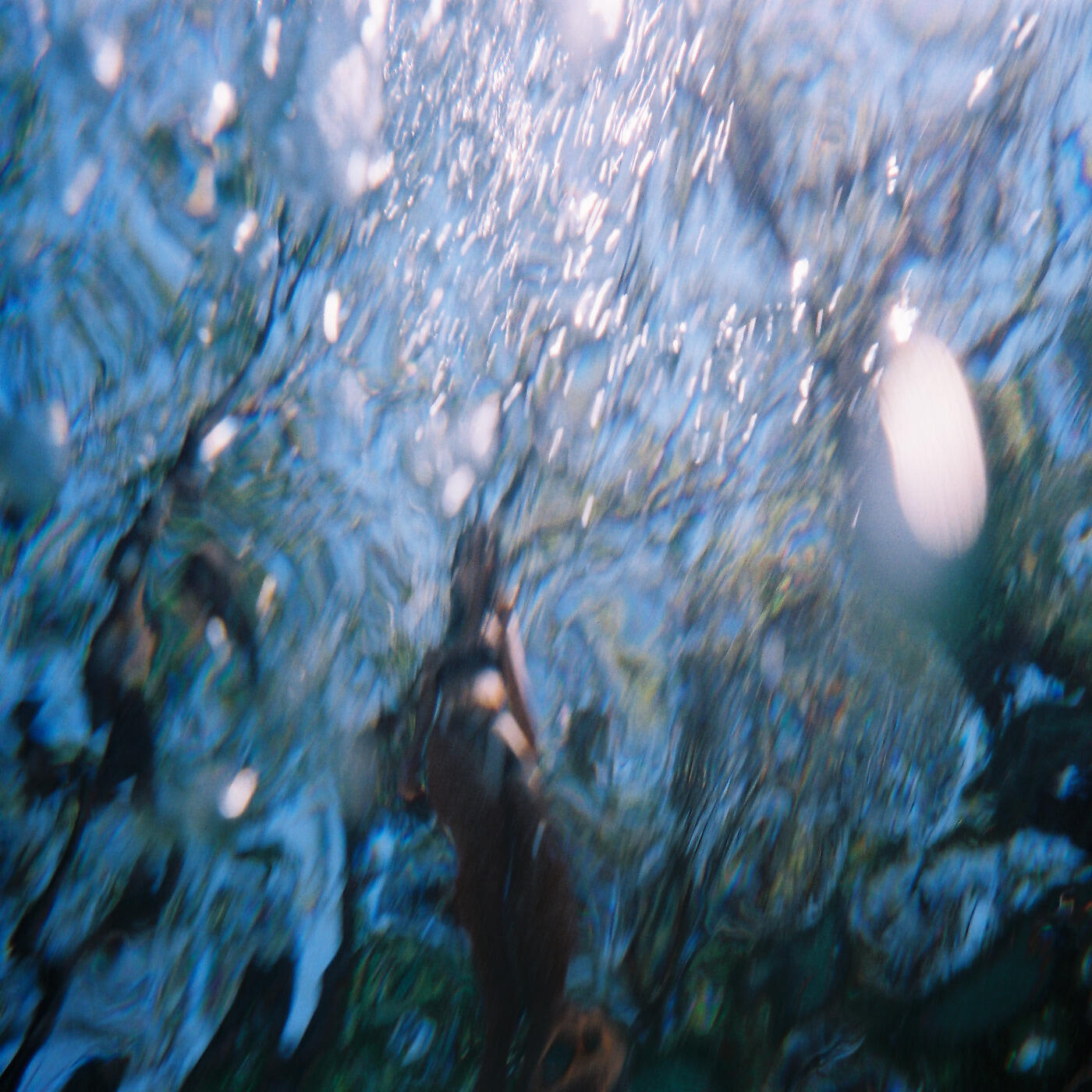 Релиз Silver Screen