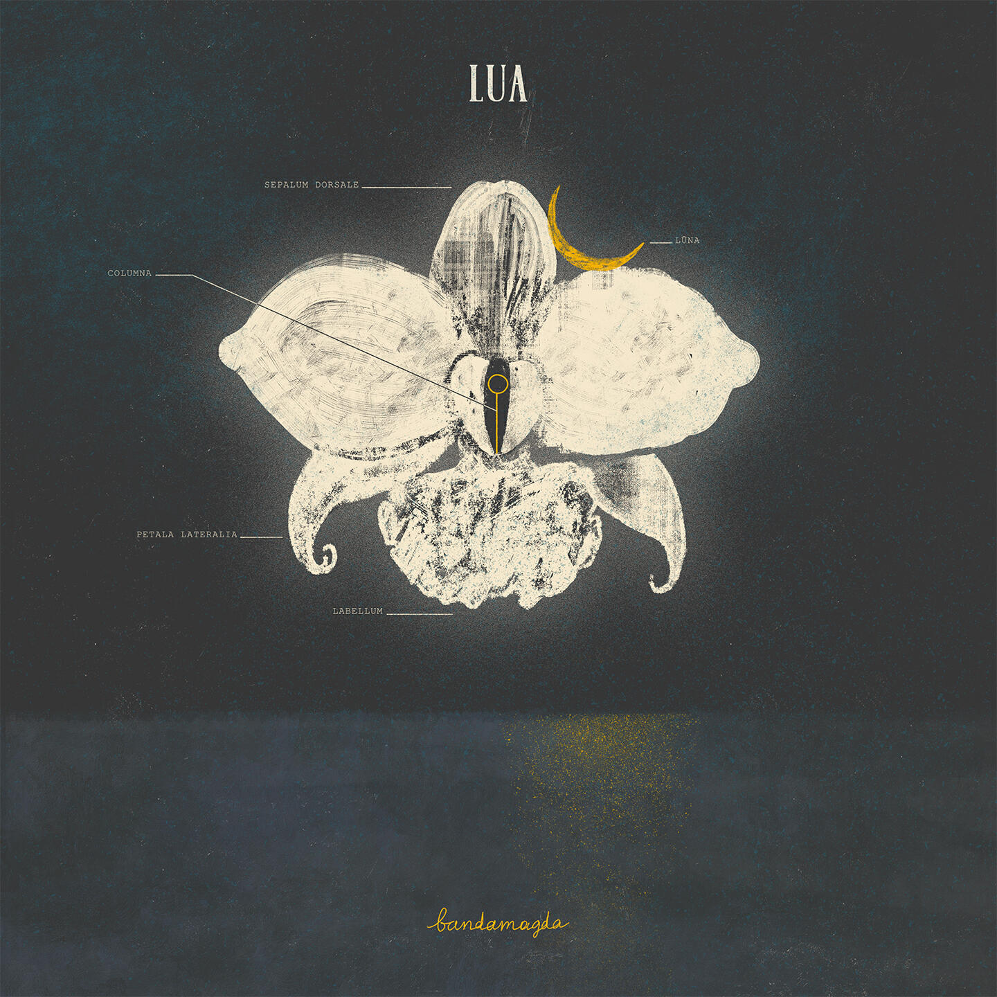 Постер альбома Lua