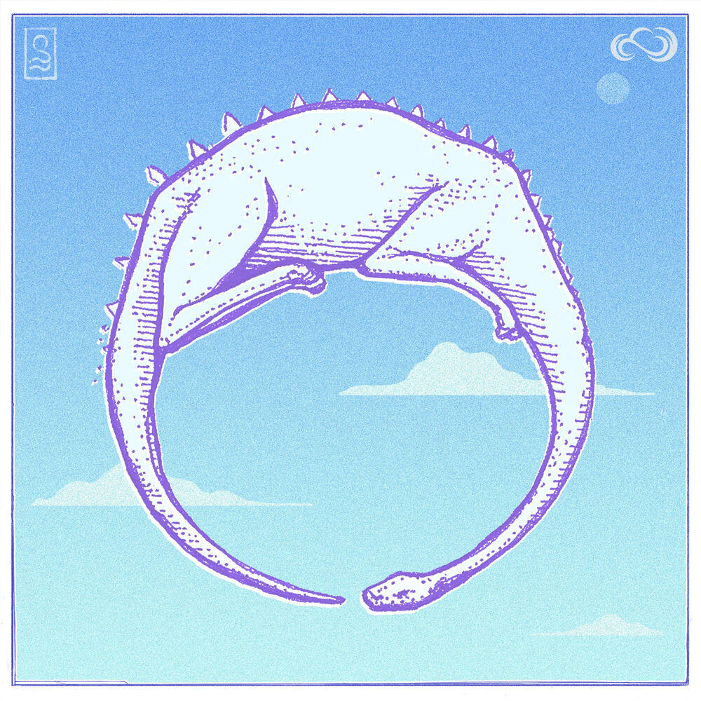 Релиз Sun Naps