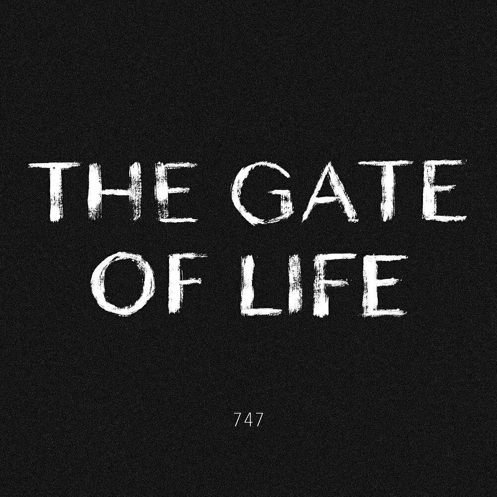 Постер альбома The Gate of Life