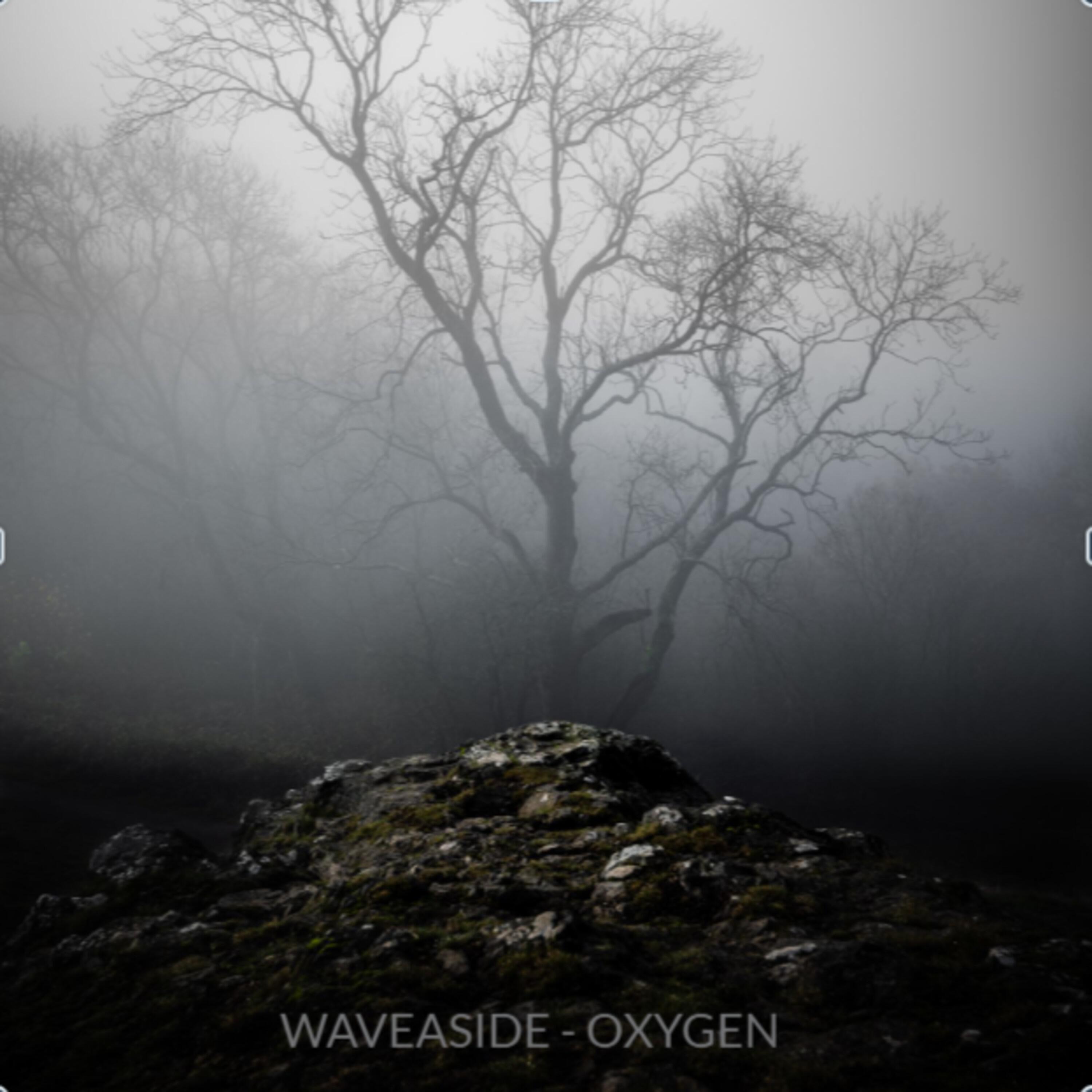 Релиз OXYGEN