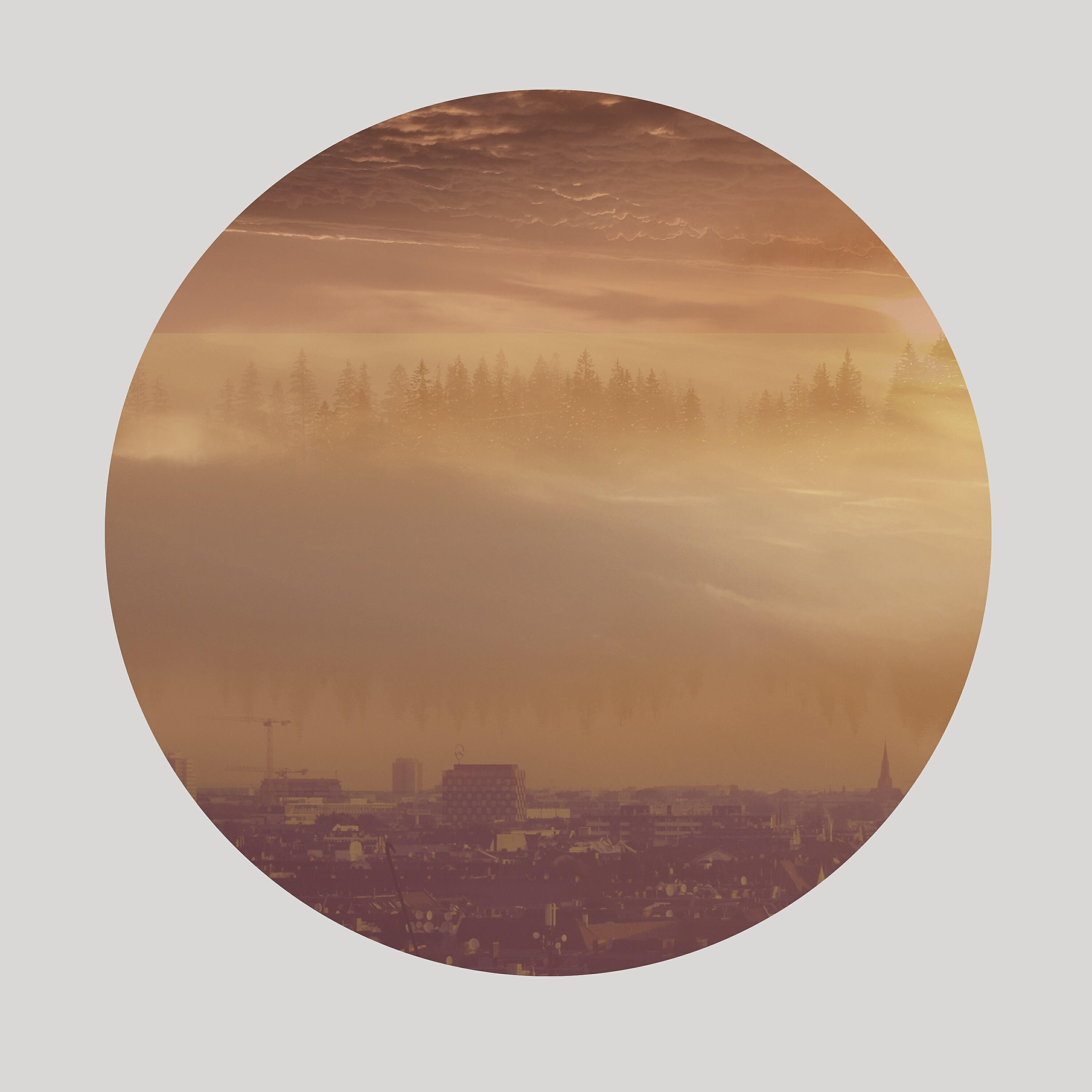 Релиз Ashridge