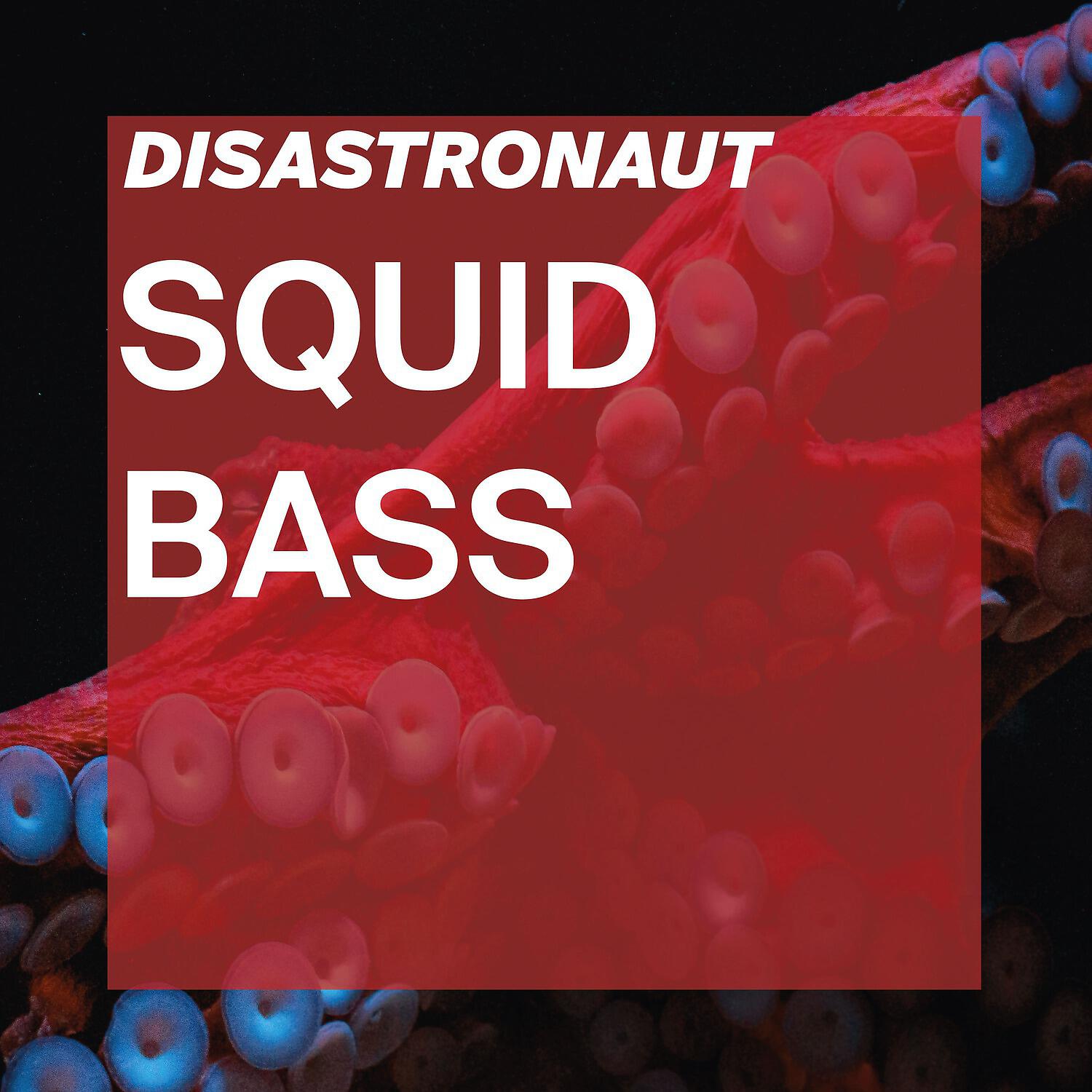 Релиз Squid Bass