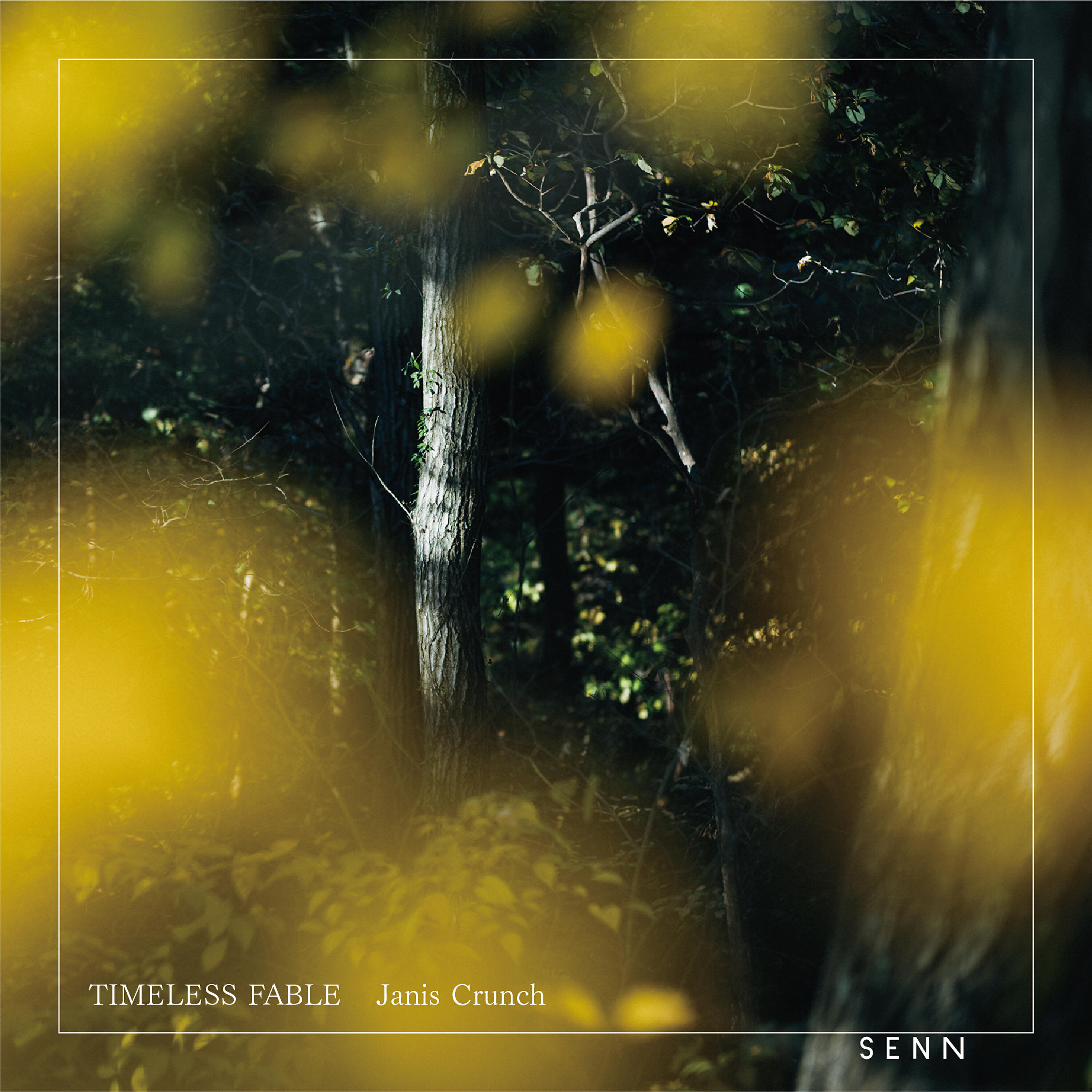 Релиз Timeless Fable