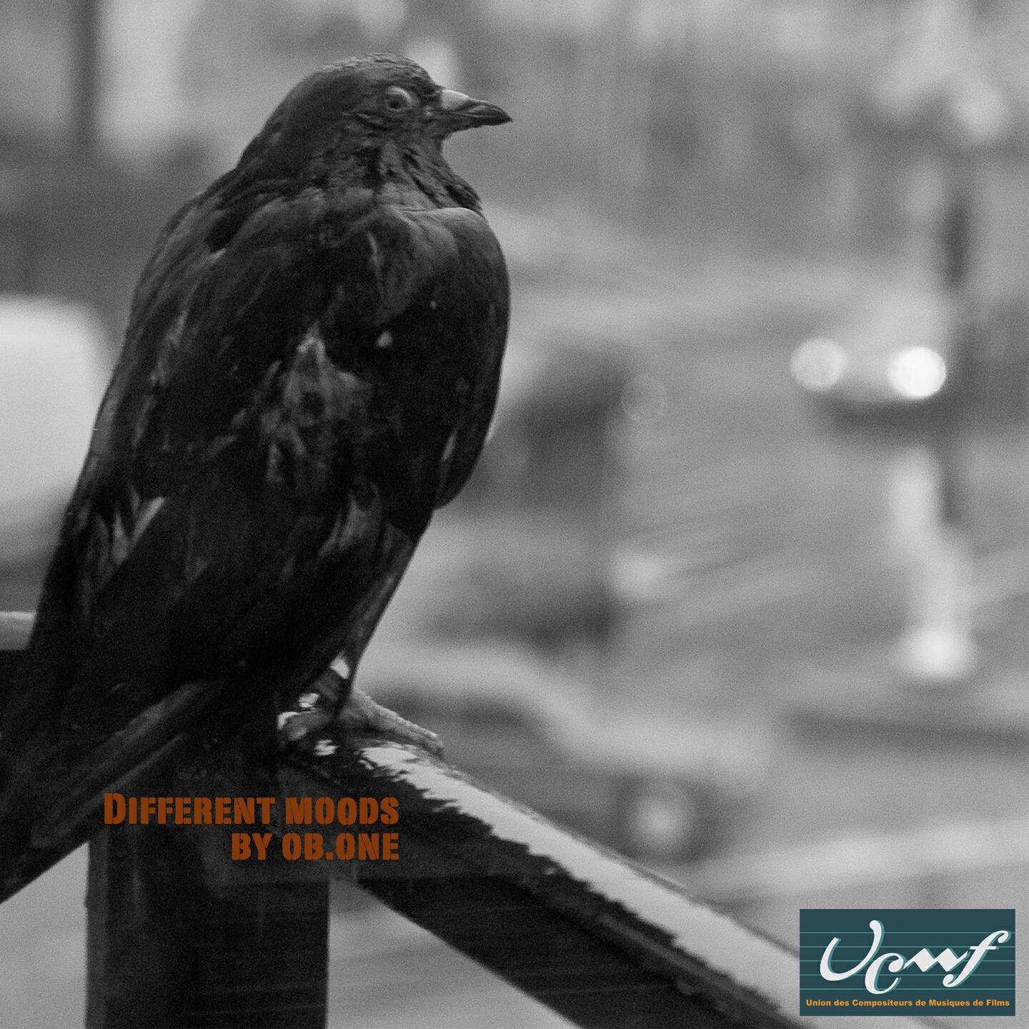 Релиз Different Moods