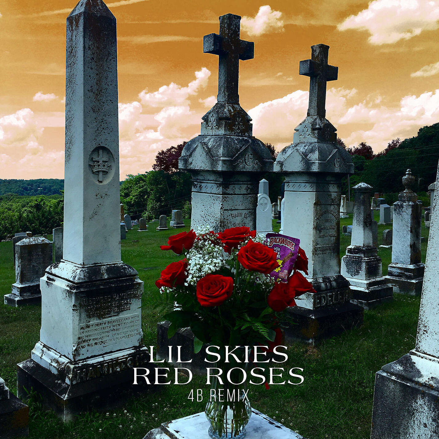 Релиз Red Roses (4B Remix)