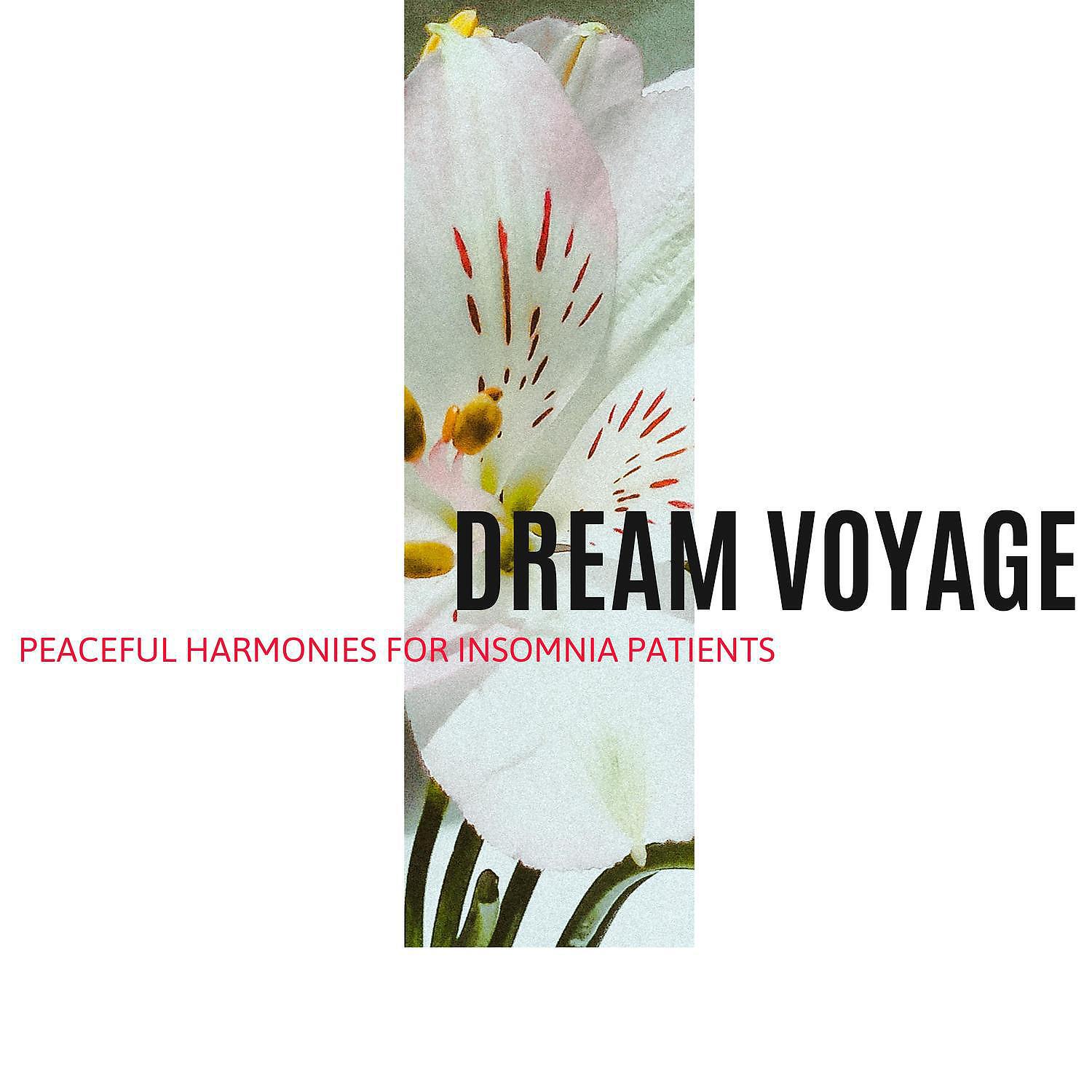 Релиз Dream Voyage - Peaceful Harmonies for Insomnia Patients