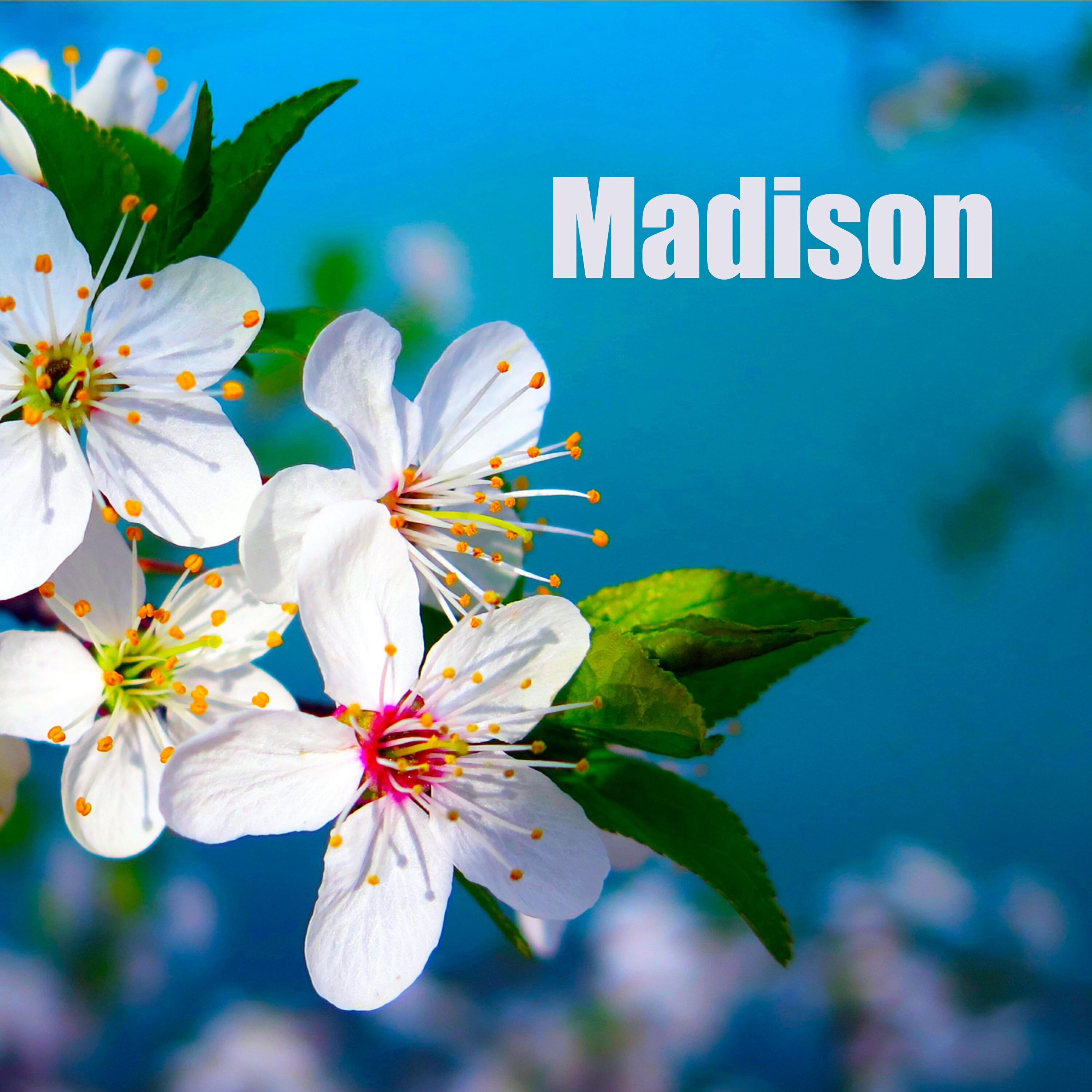 Релиз Madison