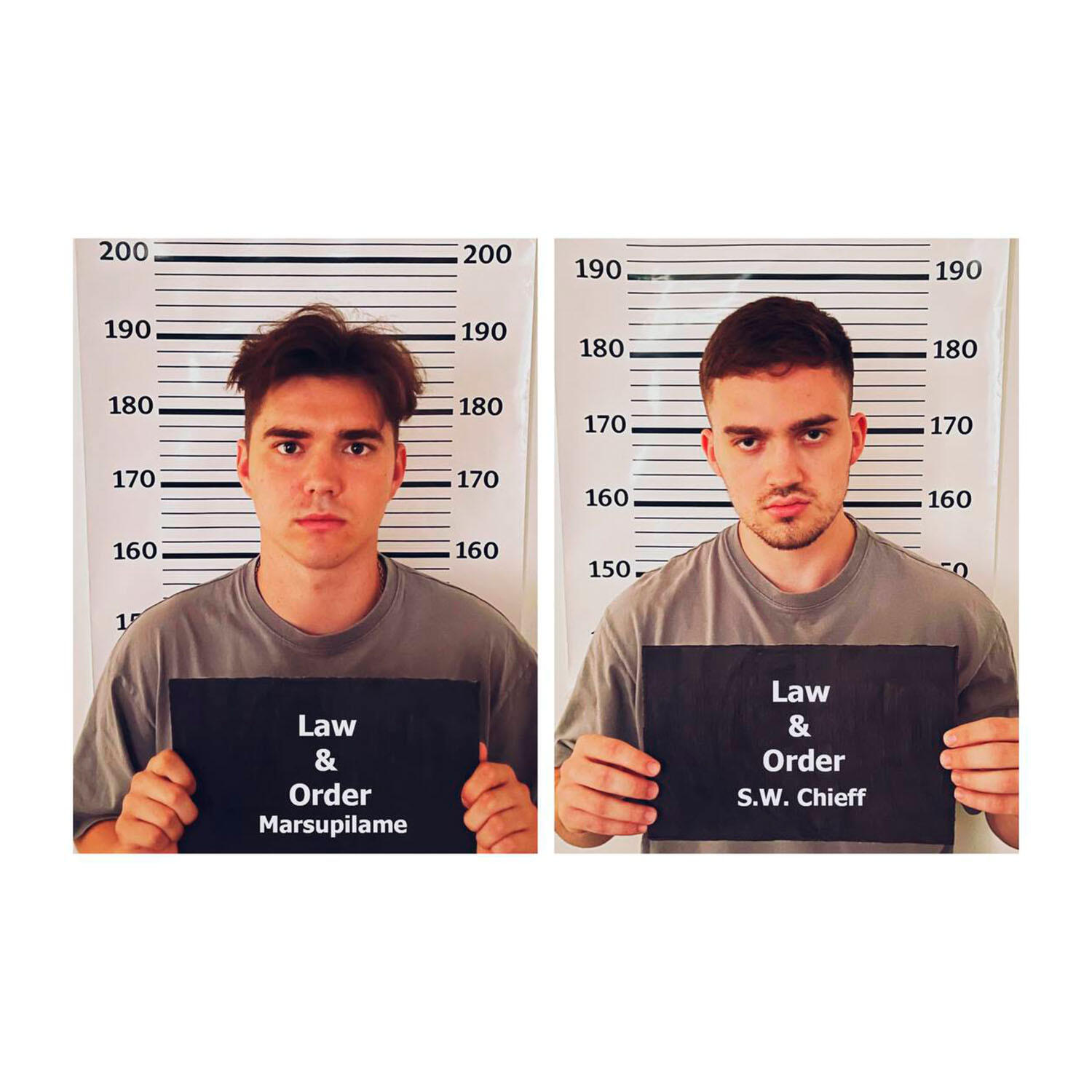 Релиз Law & Order