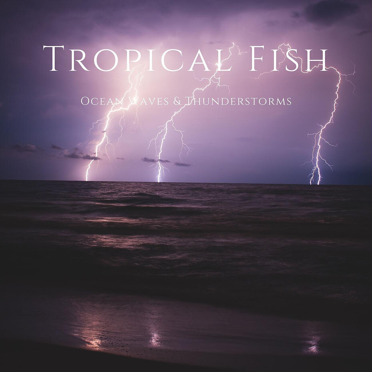 Релиз Ocean Waves & Thunderstorms