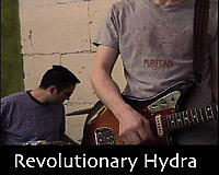 The Revolutionary Hydra