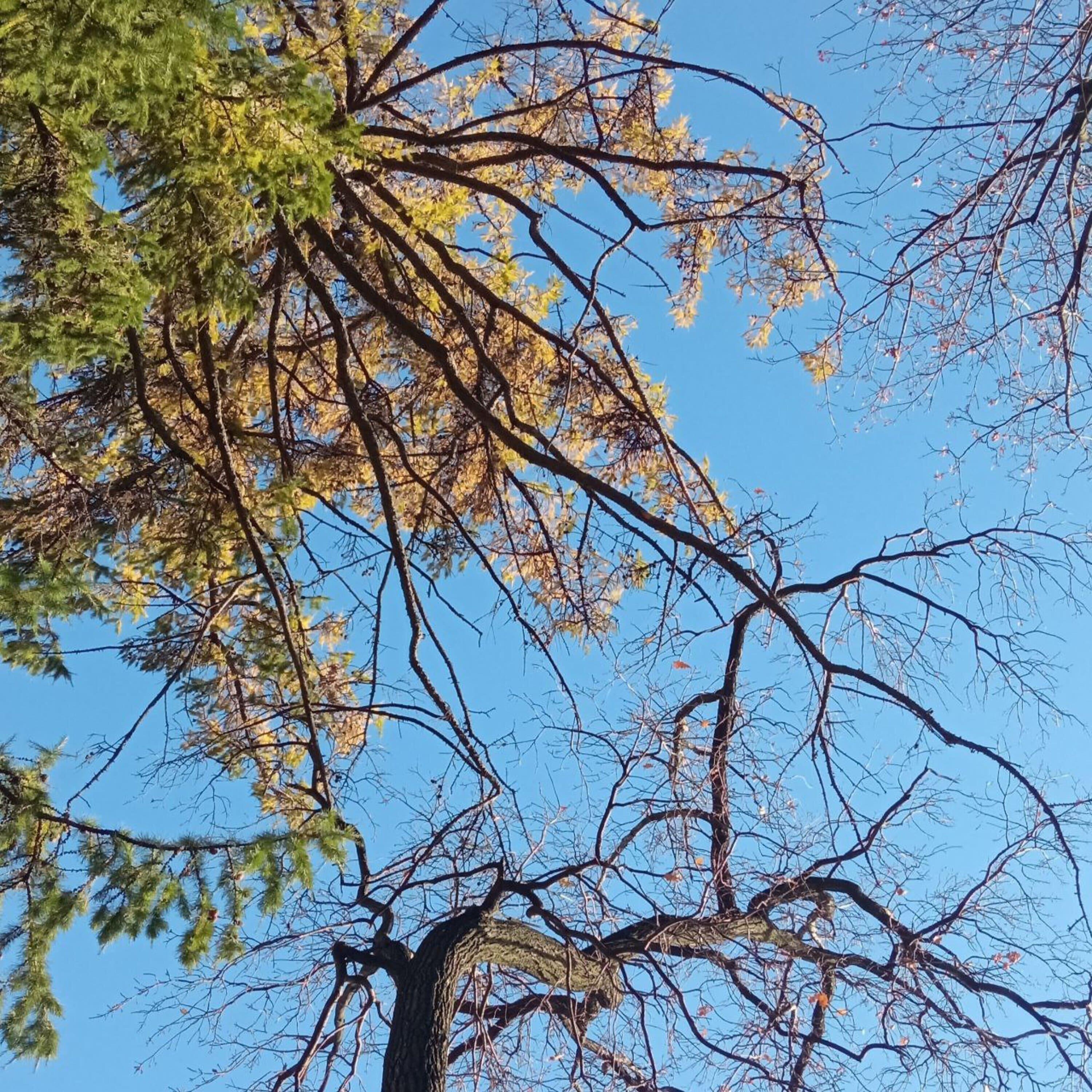 Релиз October