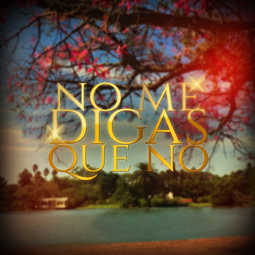 Релиз No Me Digas Que No