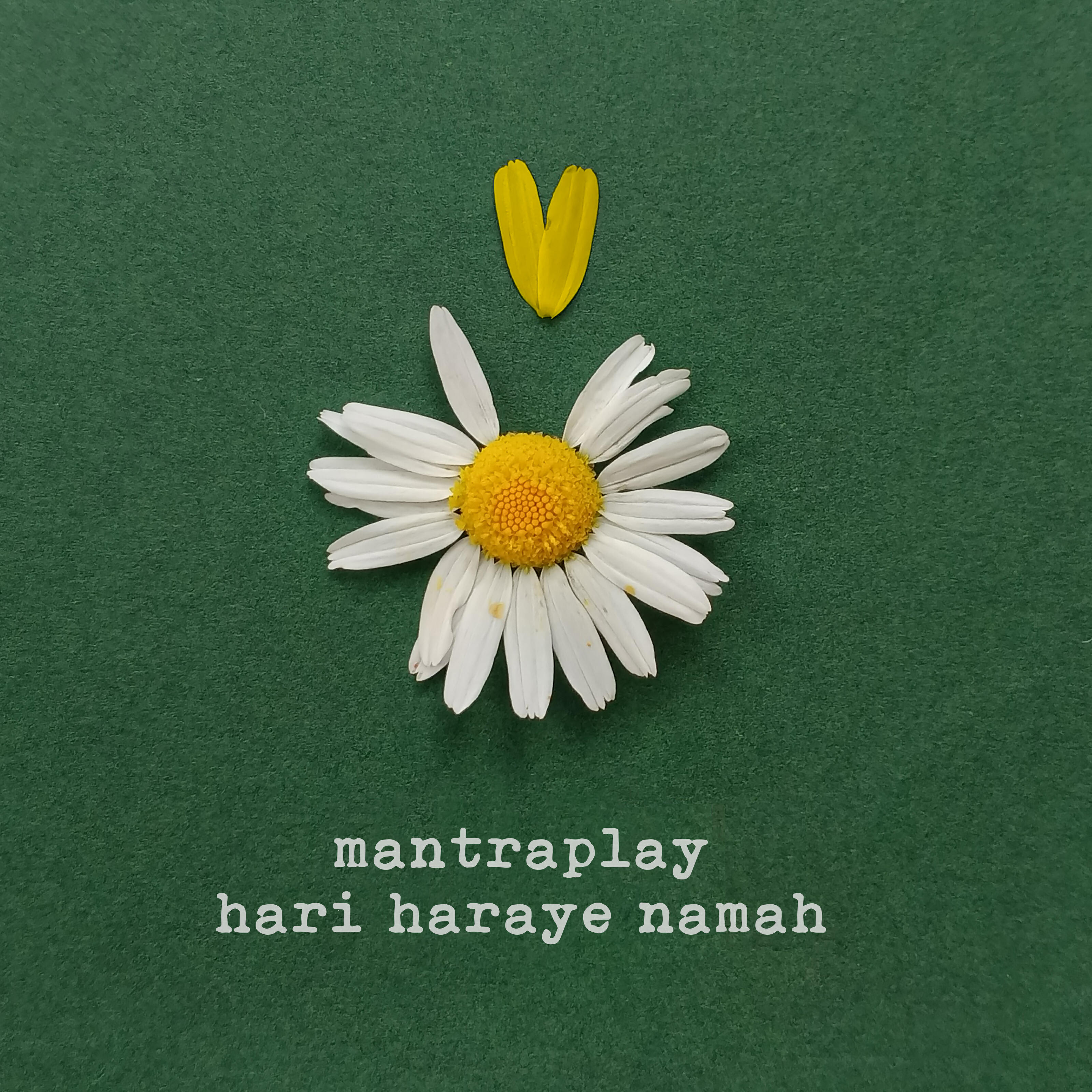 Релиз Hari Haraye Namah