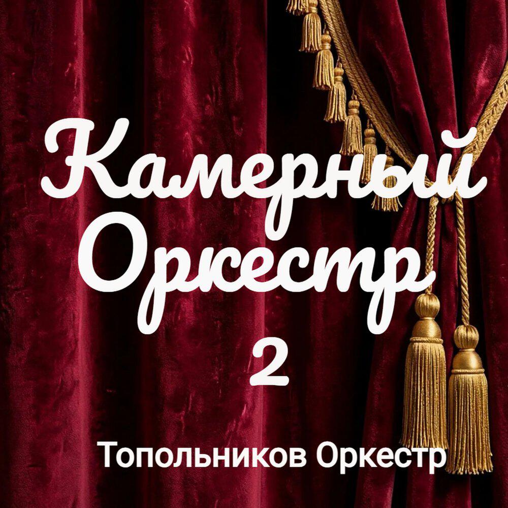Релиз Камерный Оркестр 2