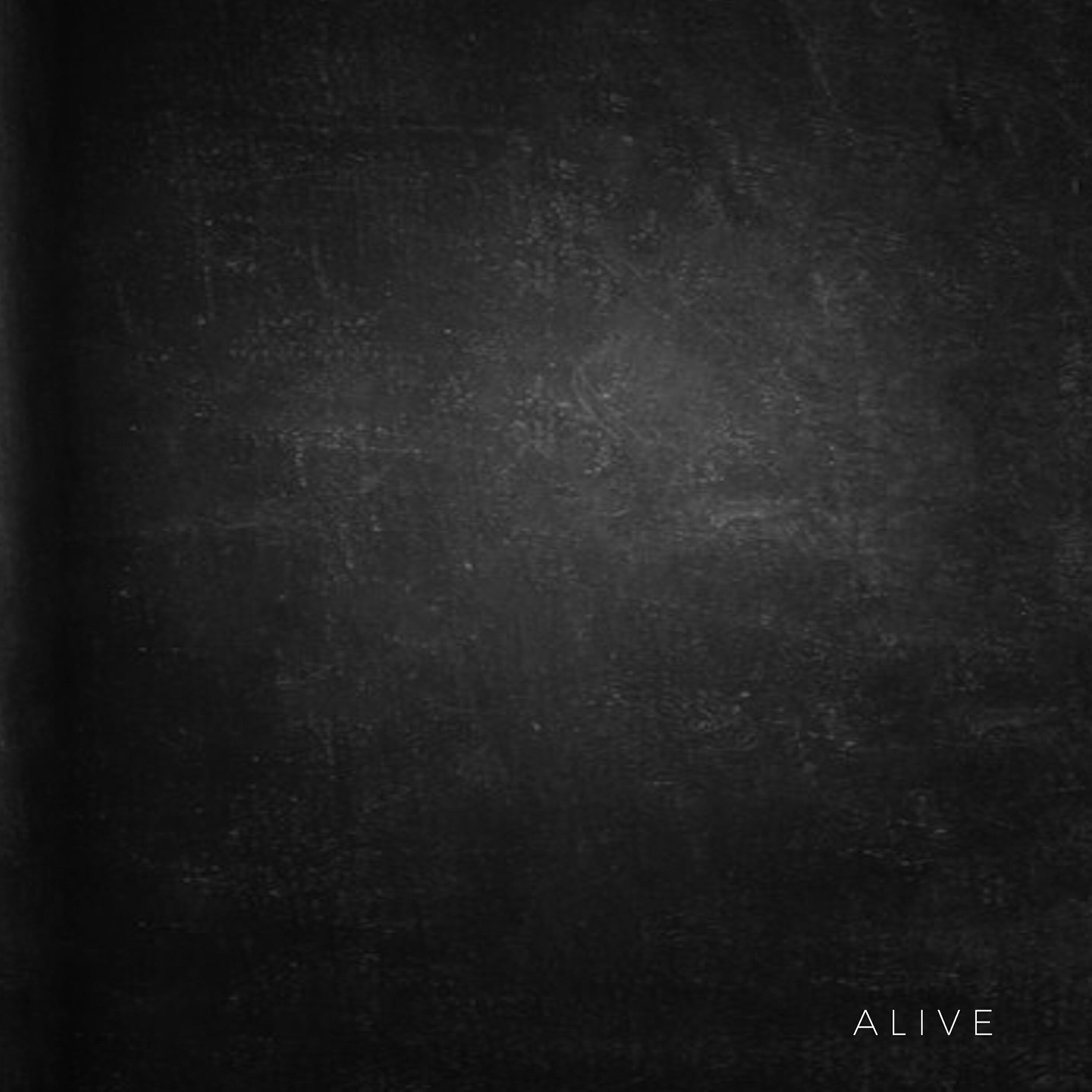 Релиз Alive