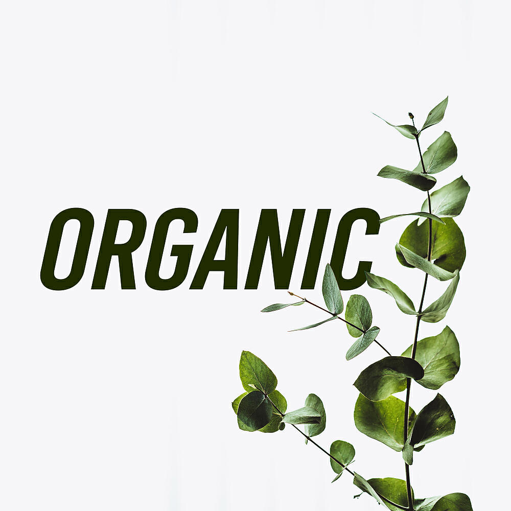 Постер альбома Organic