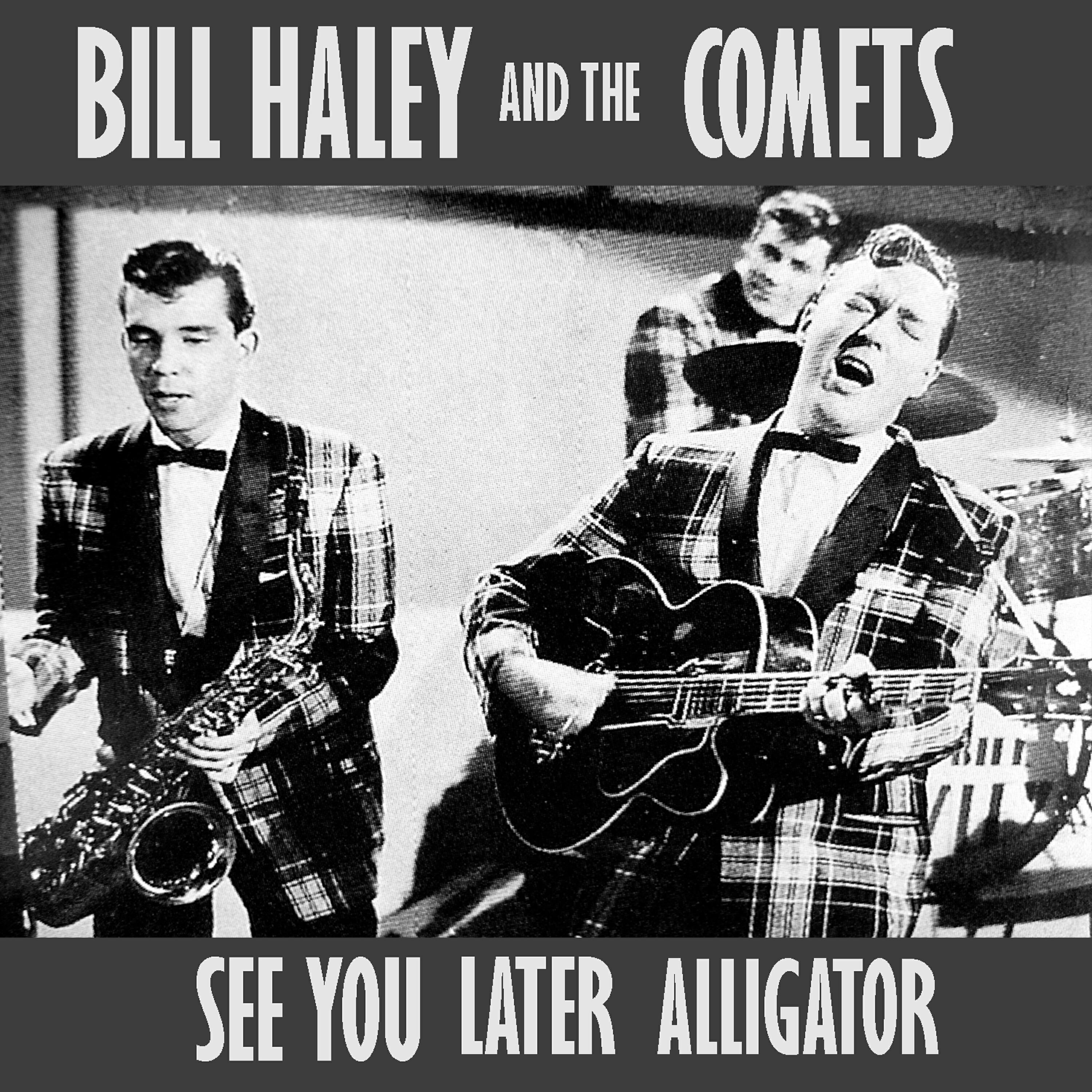 Релиз See You Later Alligator