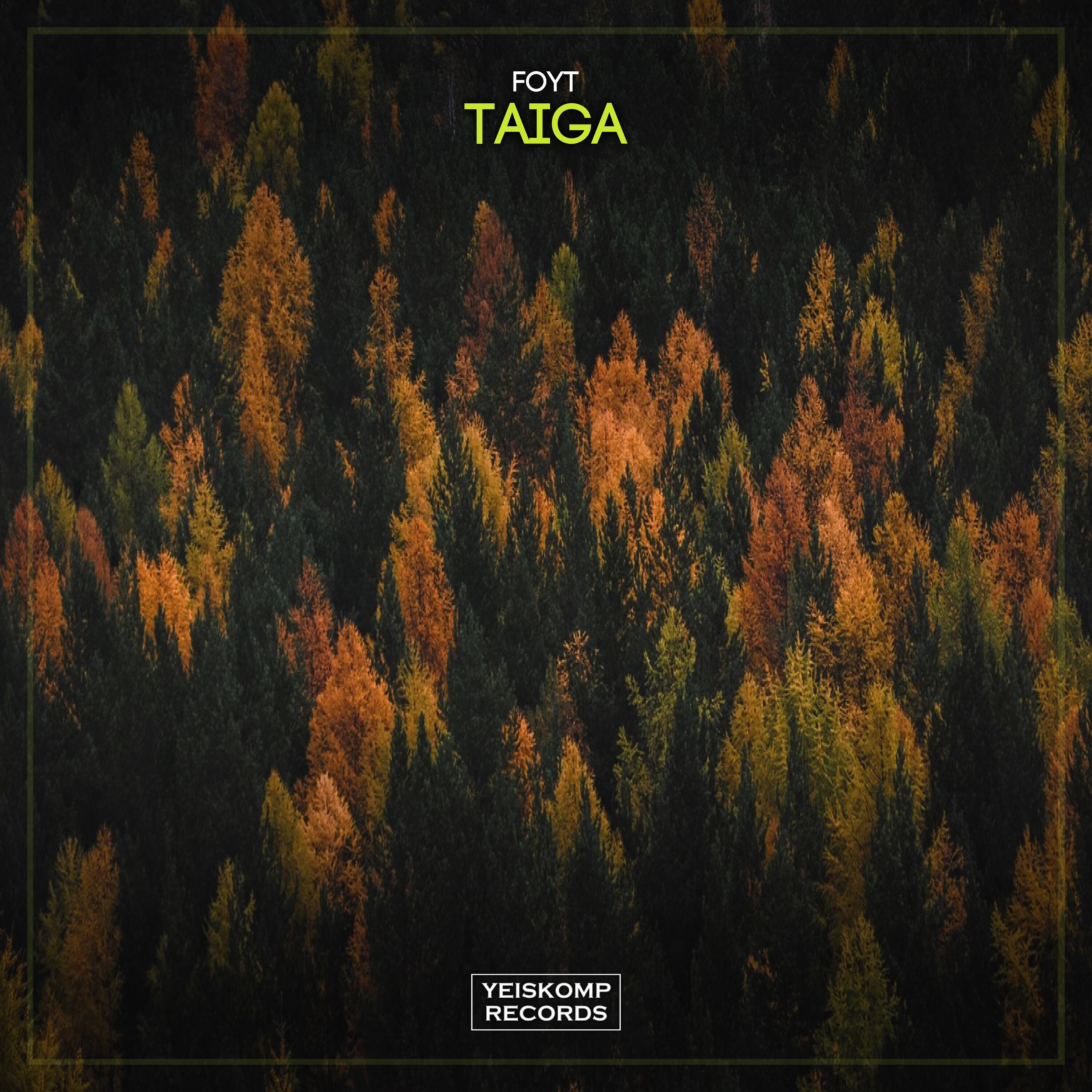 Релиз Taiga