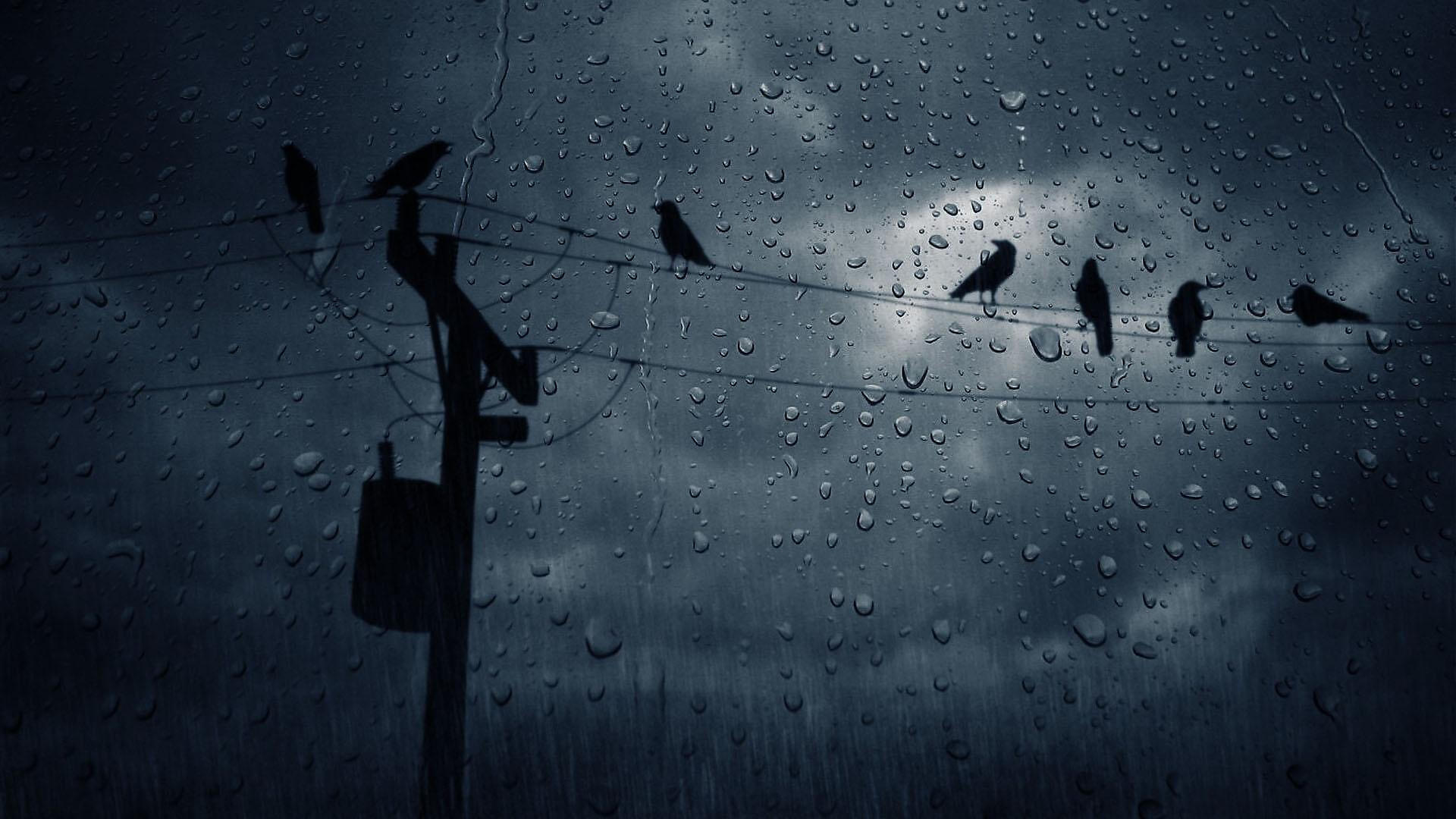 Rain Sounds все песни в mp3