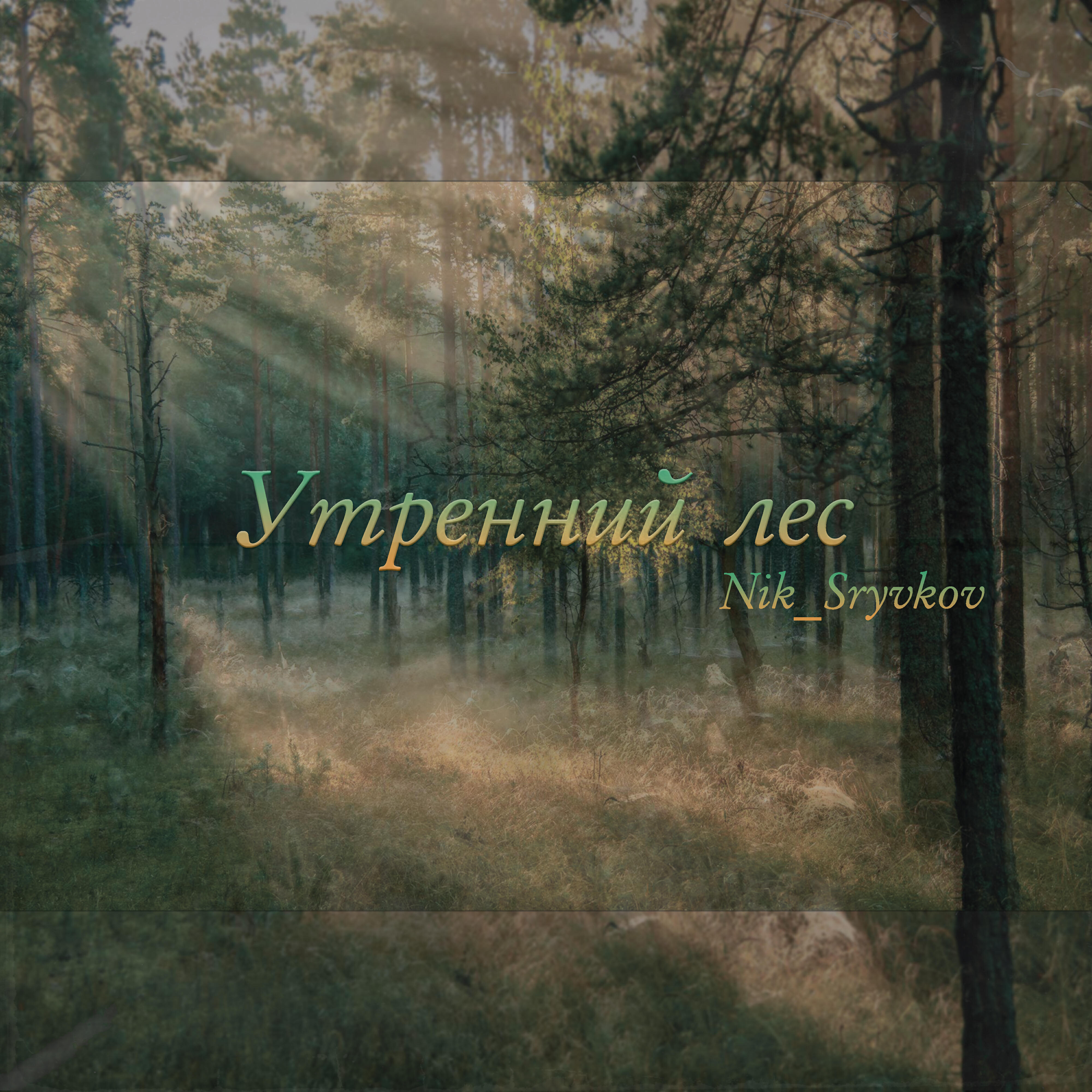 Релиз Утренний лес