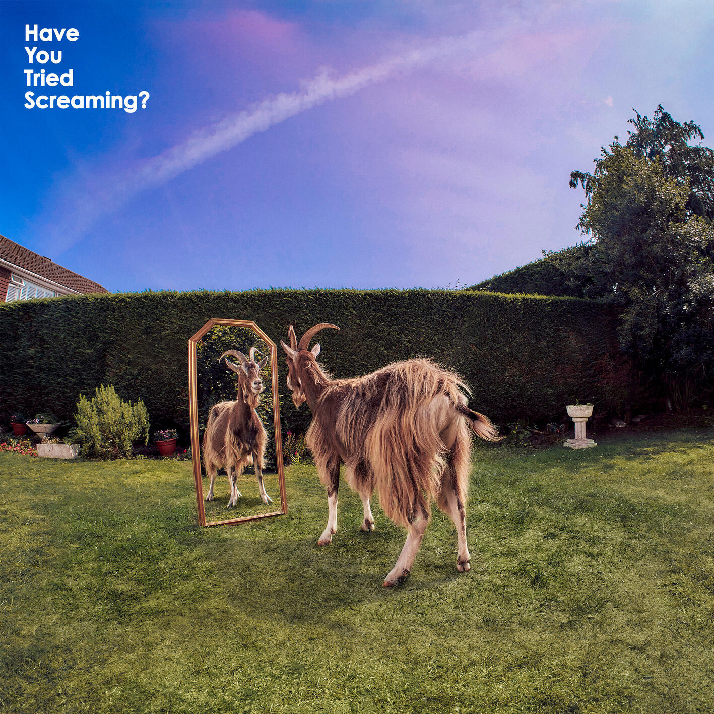 Релиз Have You Tried Screaming?