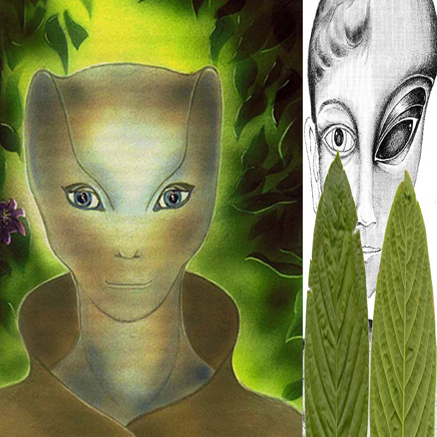 Постер альбома Kratom