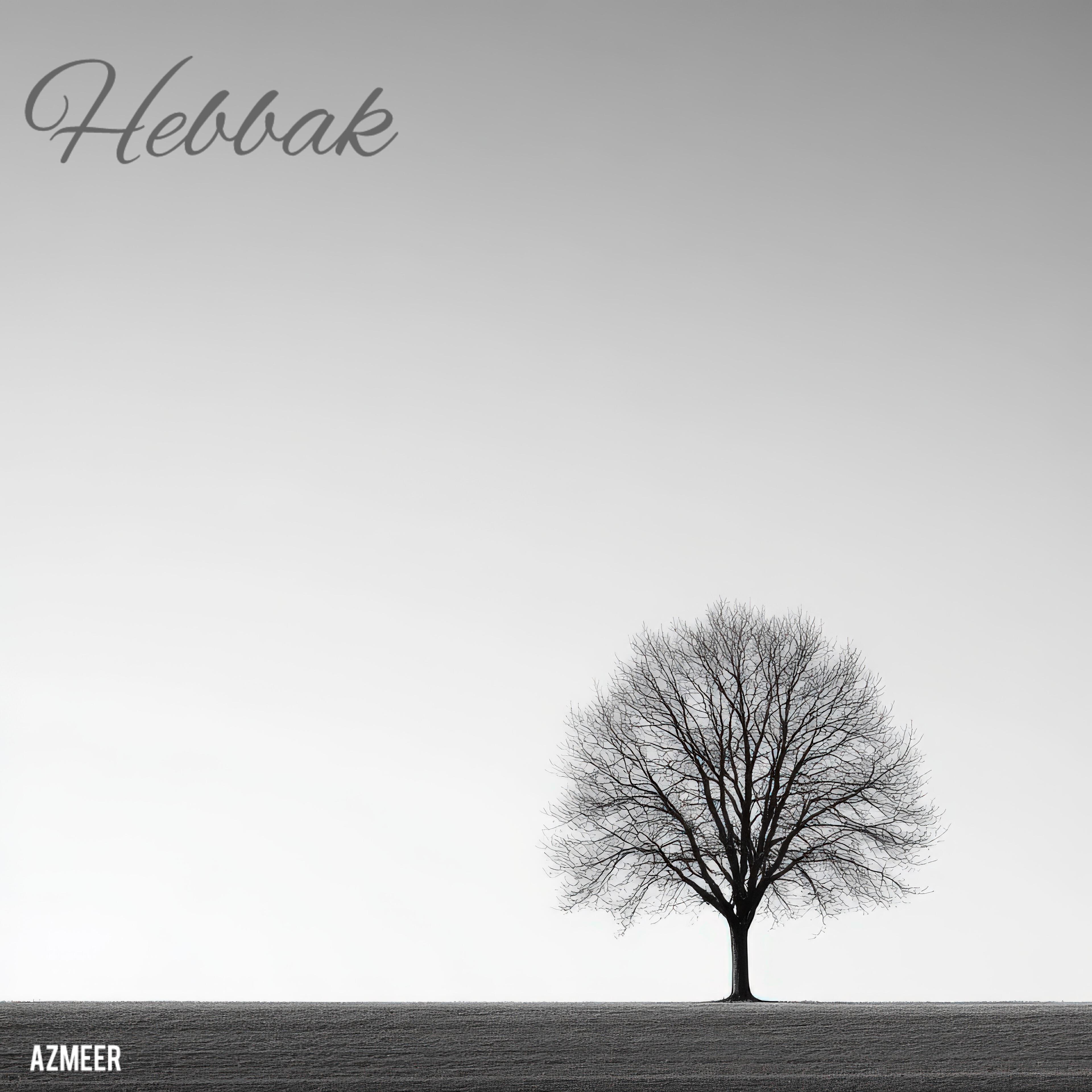 Релиз Hebbak