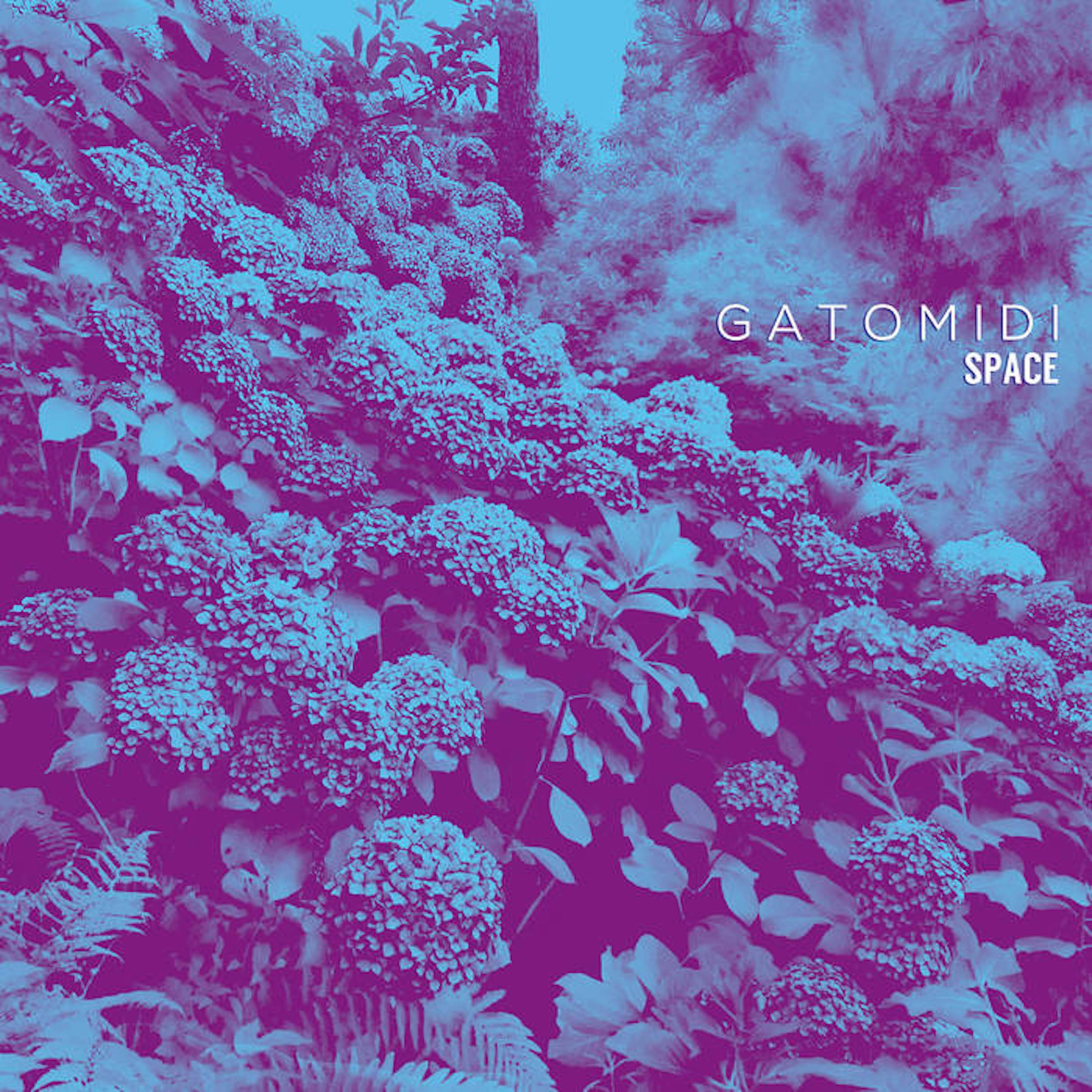Релиз Space