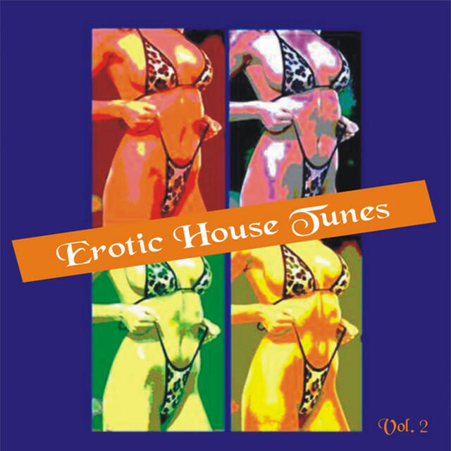 Релиз Erotic House Tunes Vol. 2