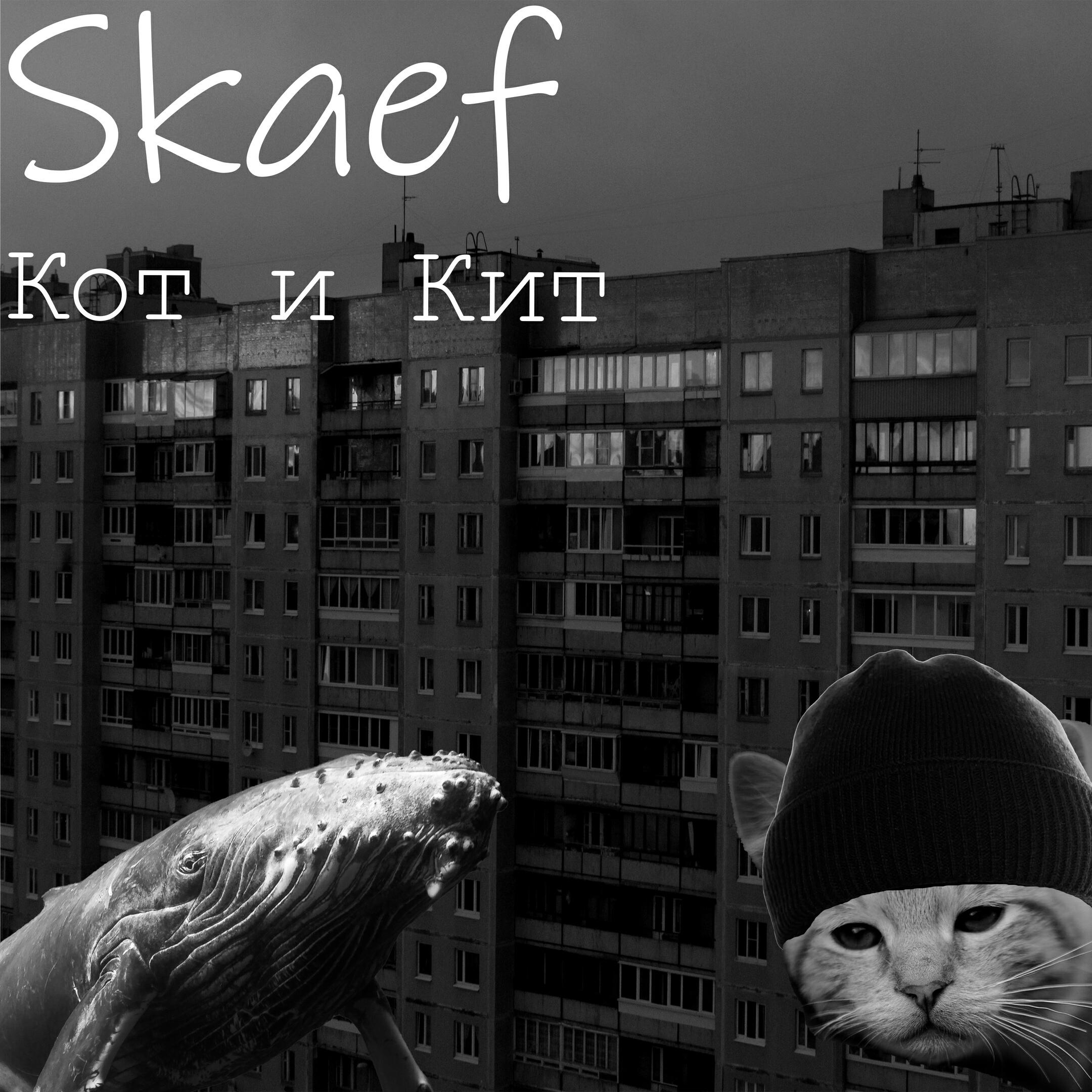 Релиз Кот и кит