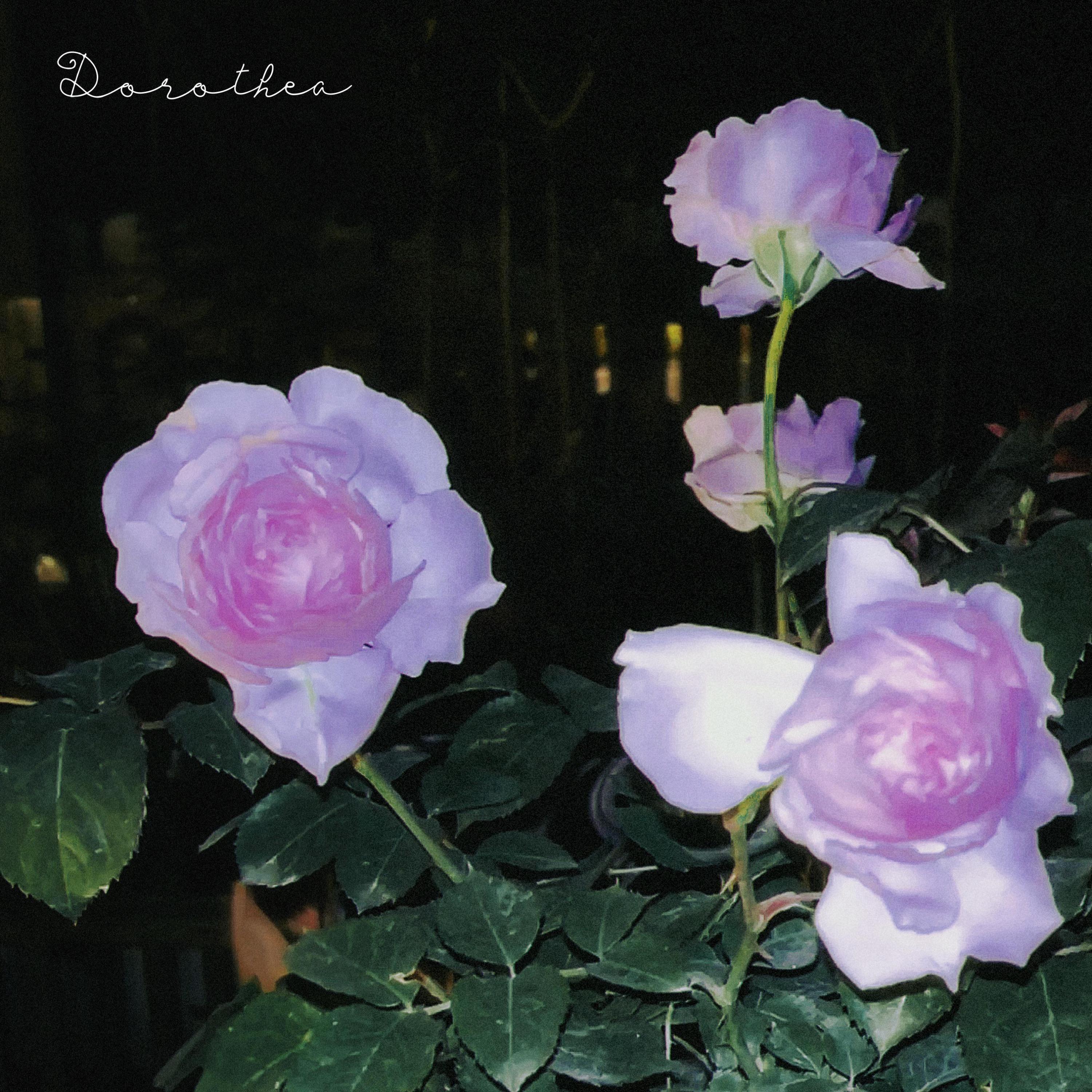 Релиз Blue of Violets, Red of Roses