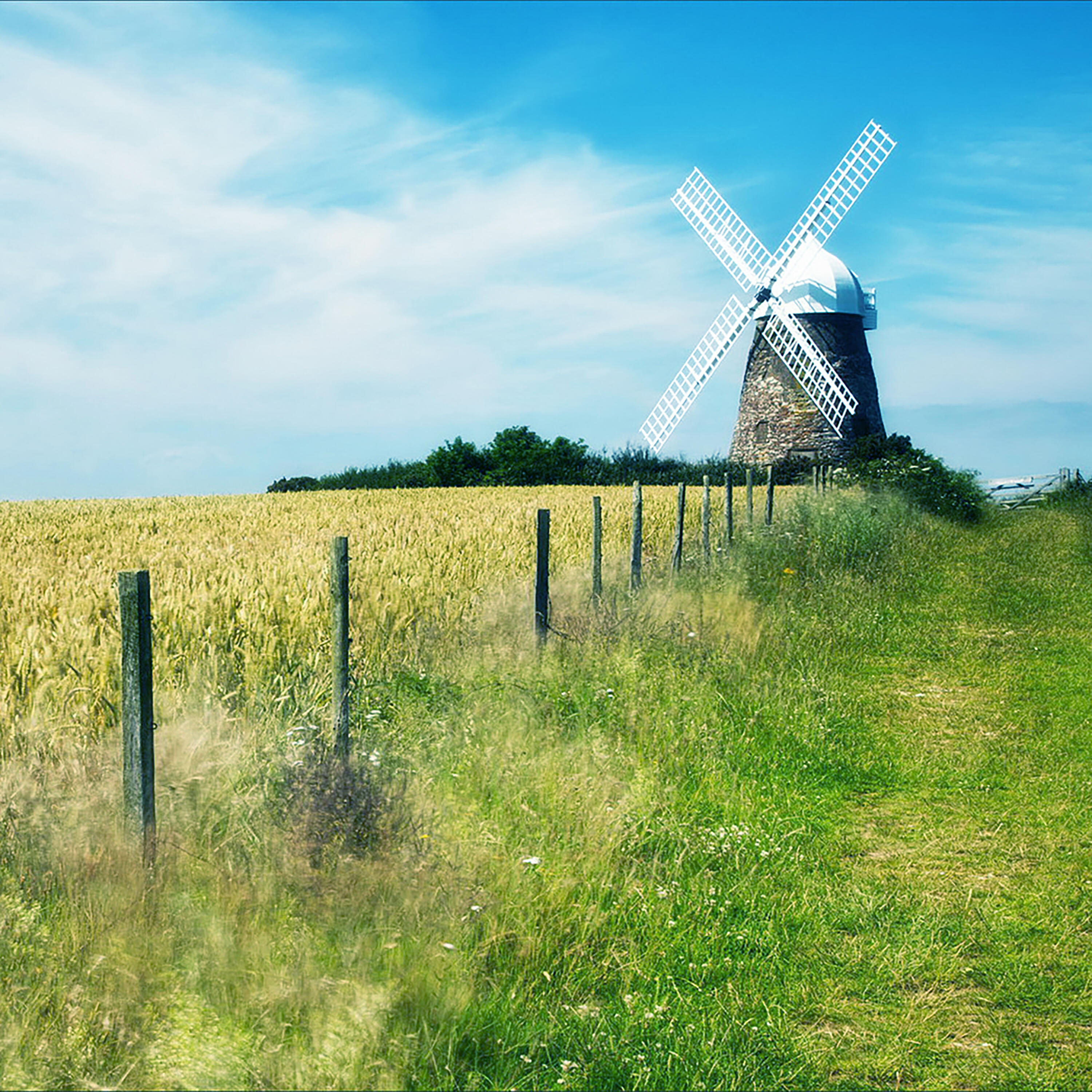 Релиз Windy Hill