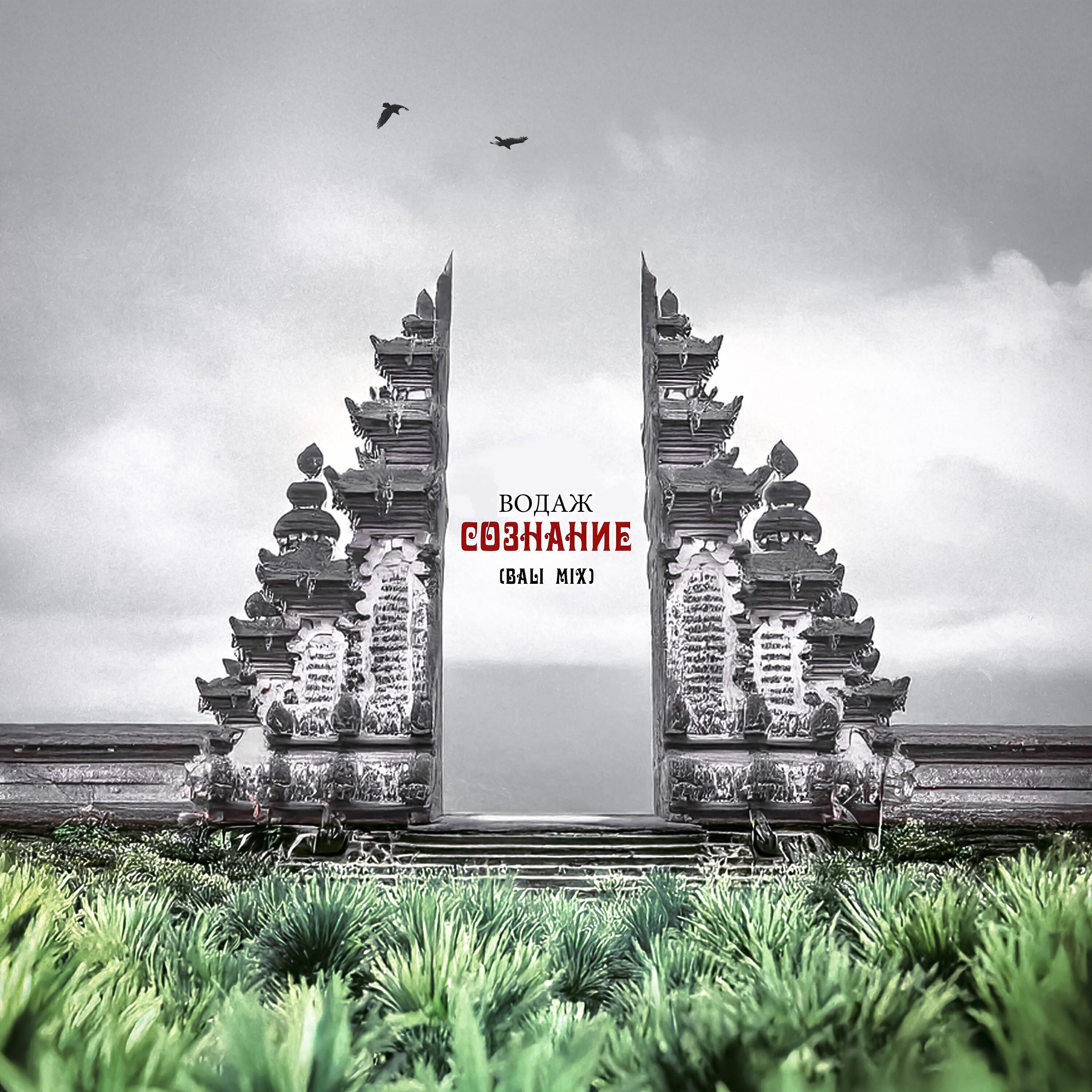 Релиз Сознание (Bali Mix)