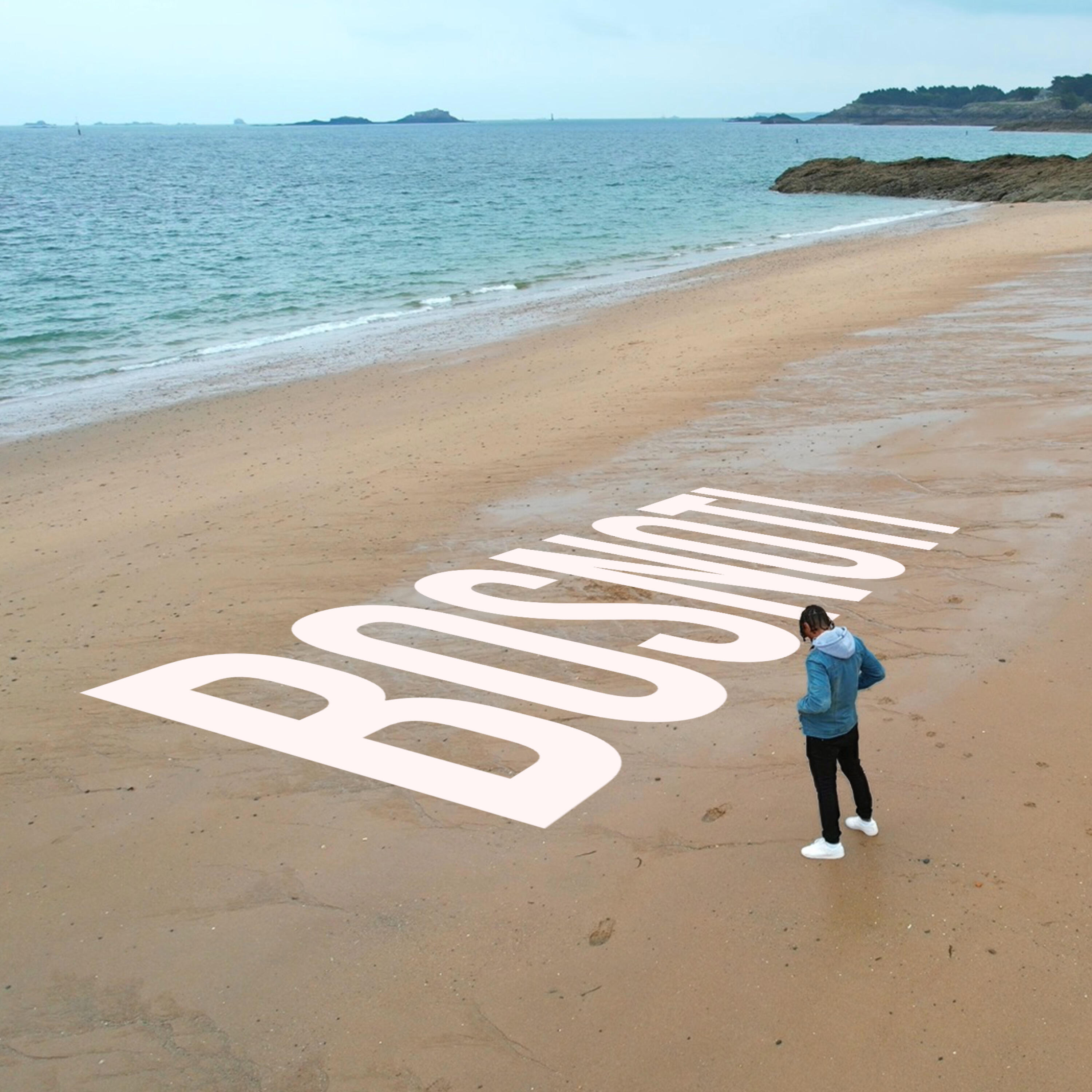 Релиз Bosnoti