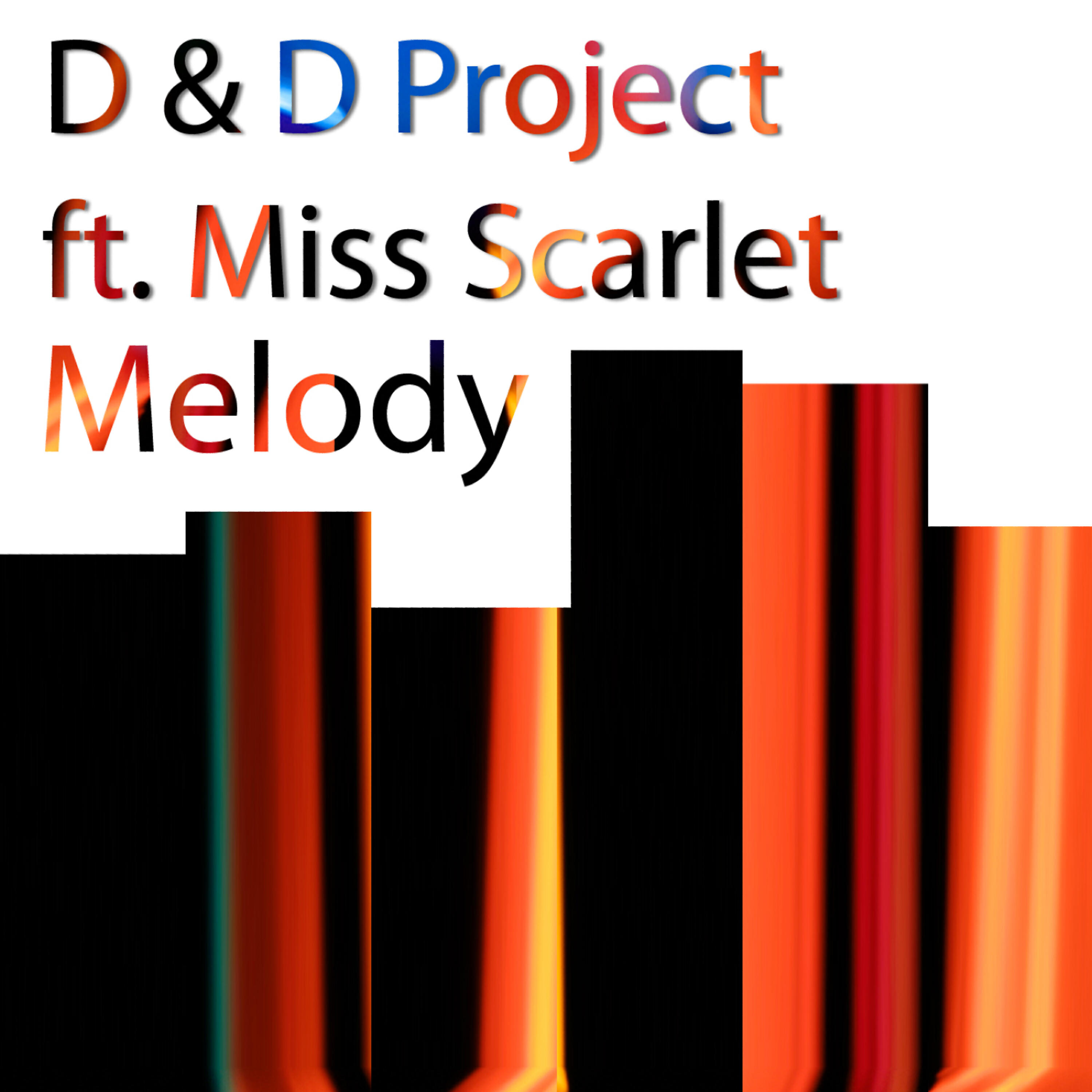 D and D Project