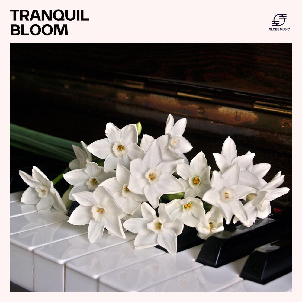 Chillout Piano Café