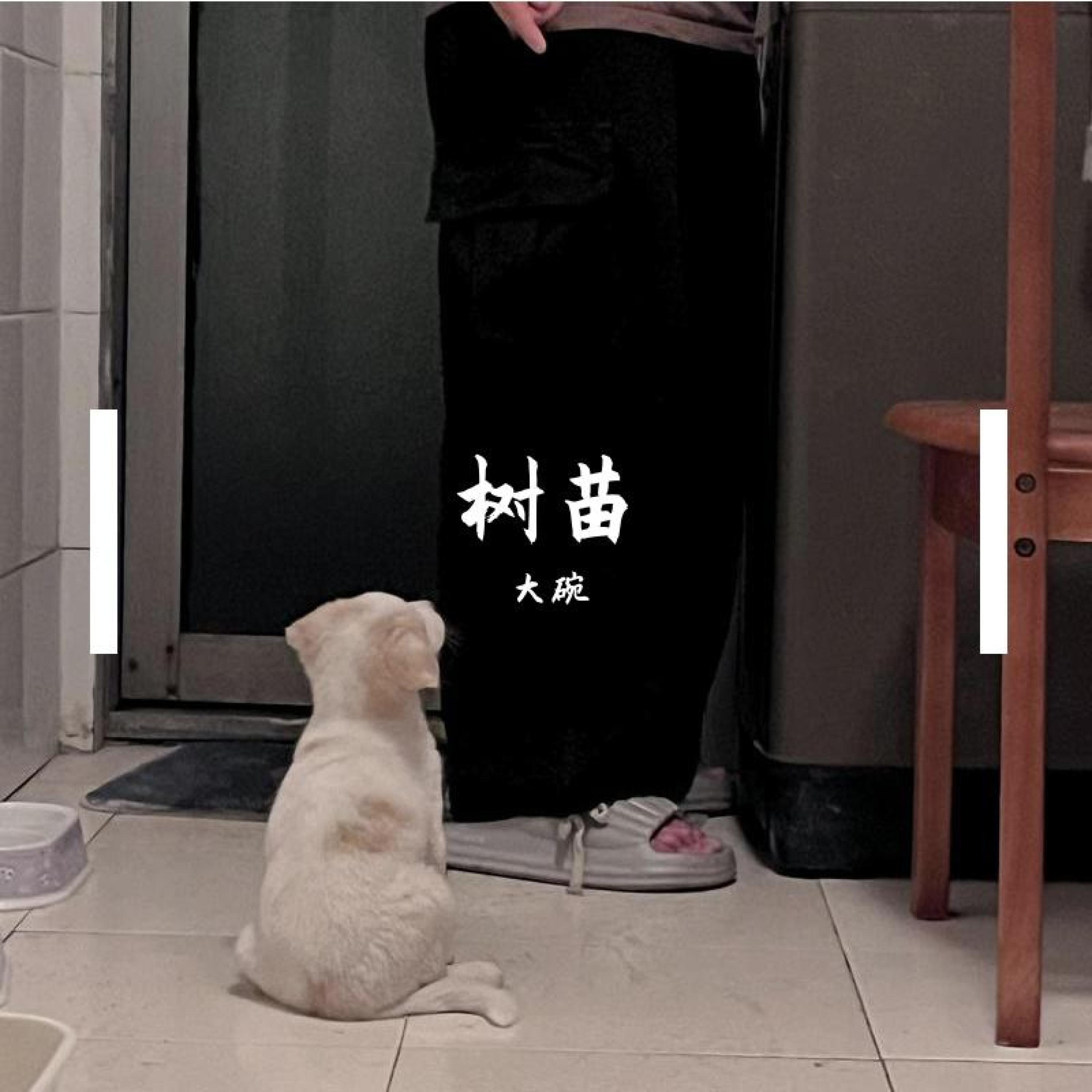 Релиз 树苗