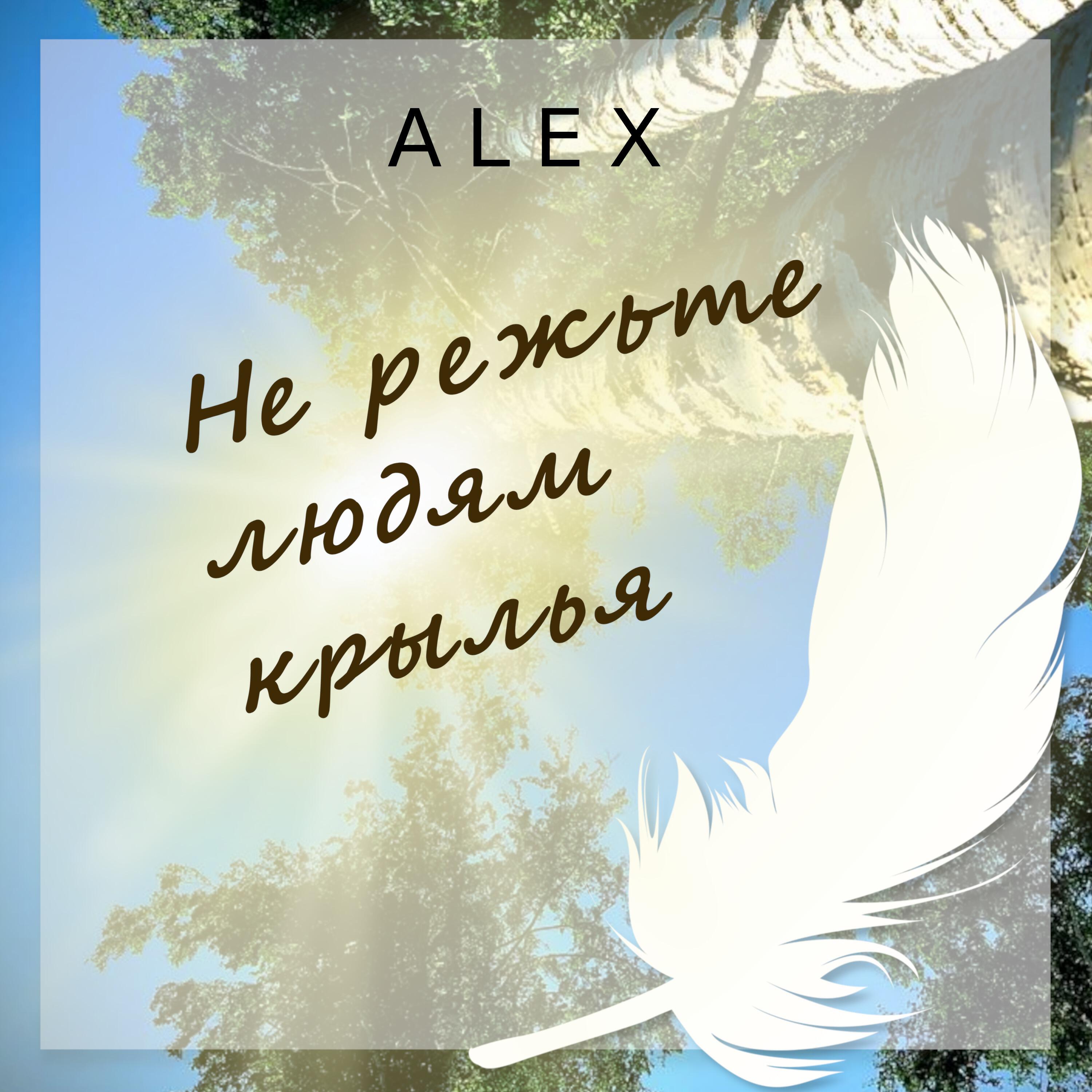 Релиз Не режьте людям крылья