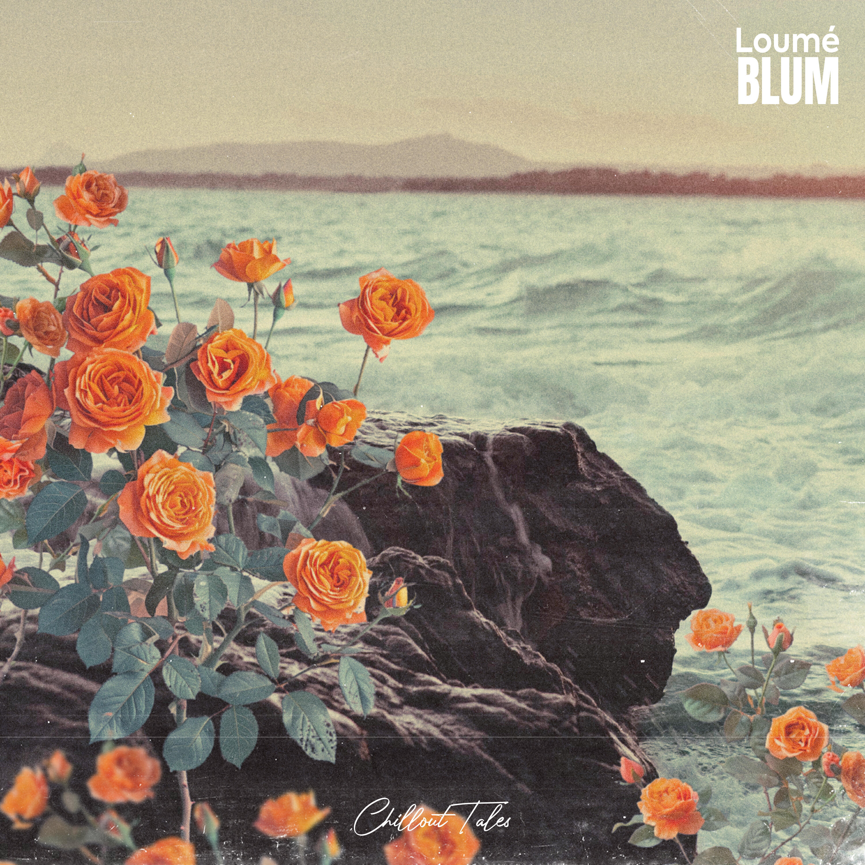 Релиз Blum