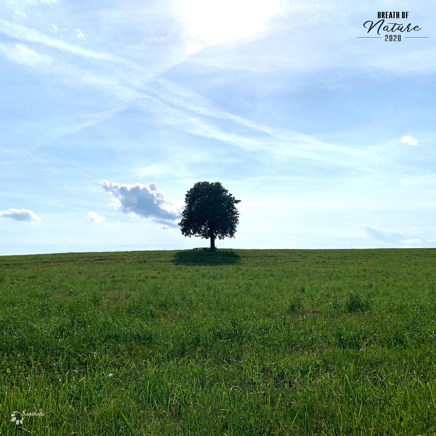 Релиз Breath of Nature 2021
