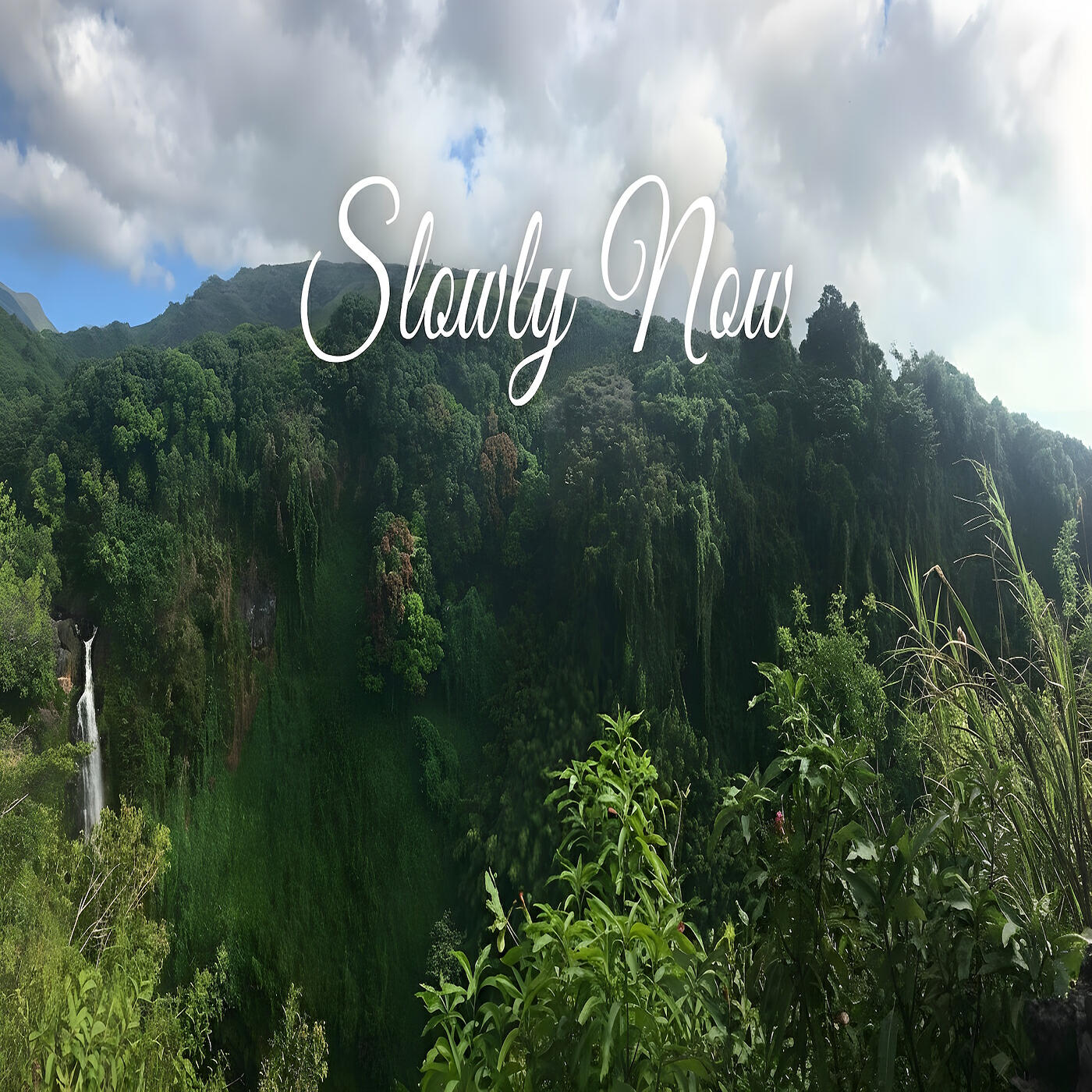 Релиз Slowly Now